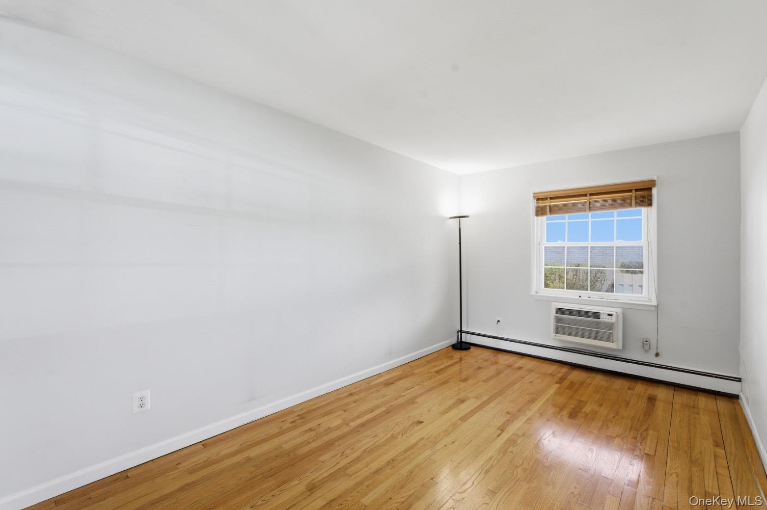 Condo Lori  Queens, NY 11360, MLS-980261-10