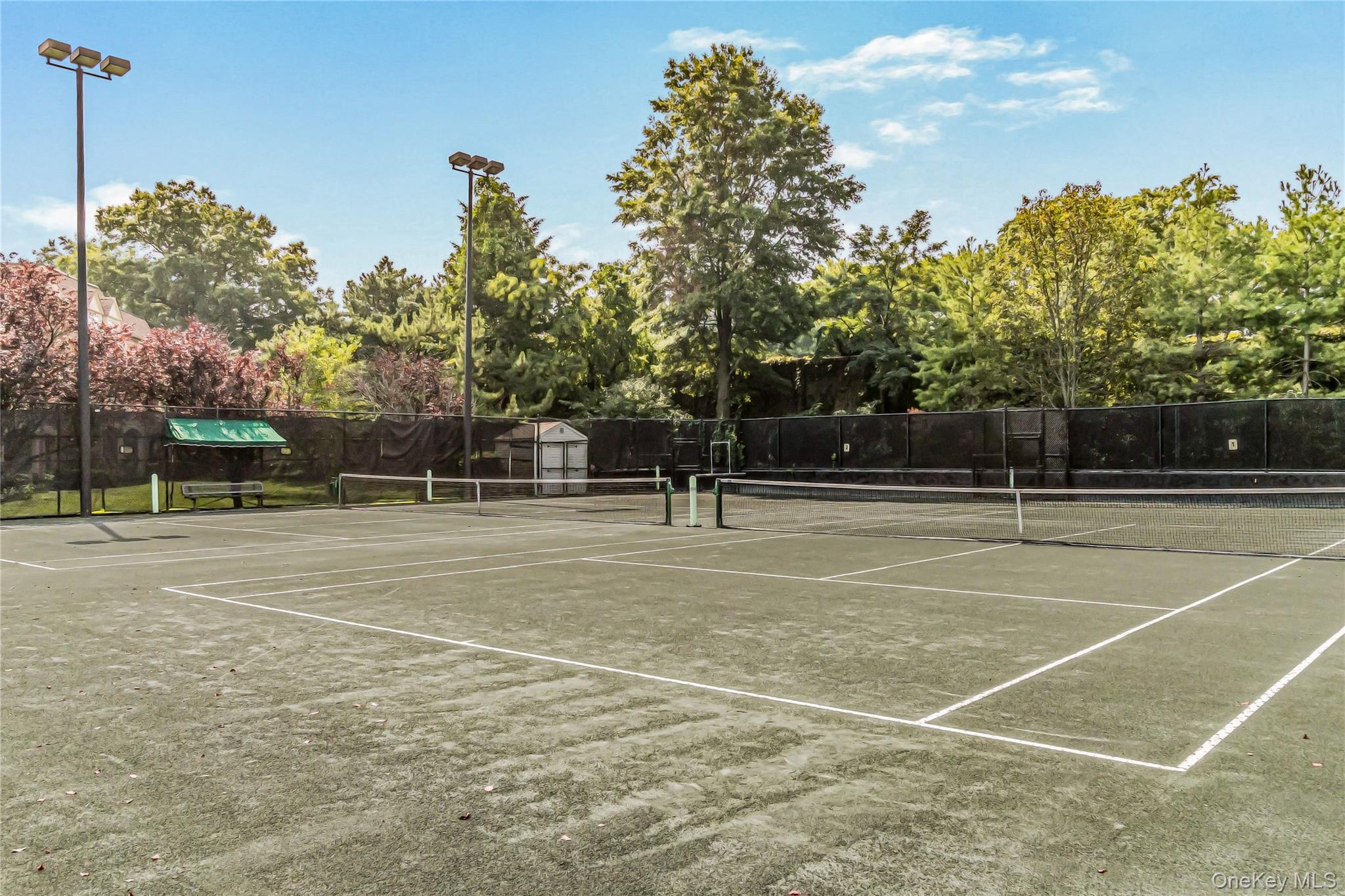 Condo Lori  Queens, NY 11360, MLS-980261-17