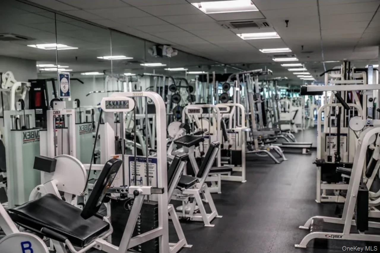 Condo Lori  Queens, NY 11360, MLS-980261-20