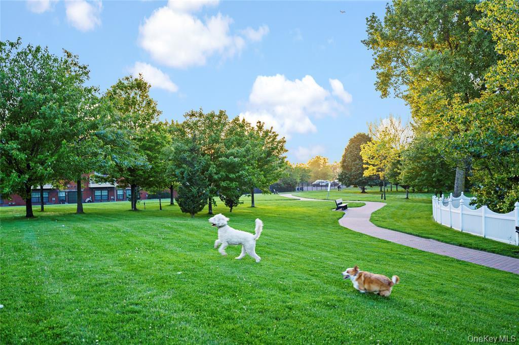 Condo Endeavor Queens, NY 11356, MLS-980281-16