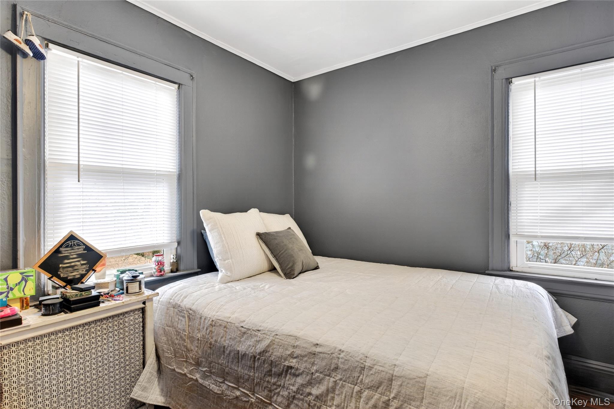 Single Family Dubois  Nassau County, NY 11581, MLS-980287-14