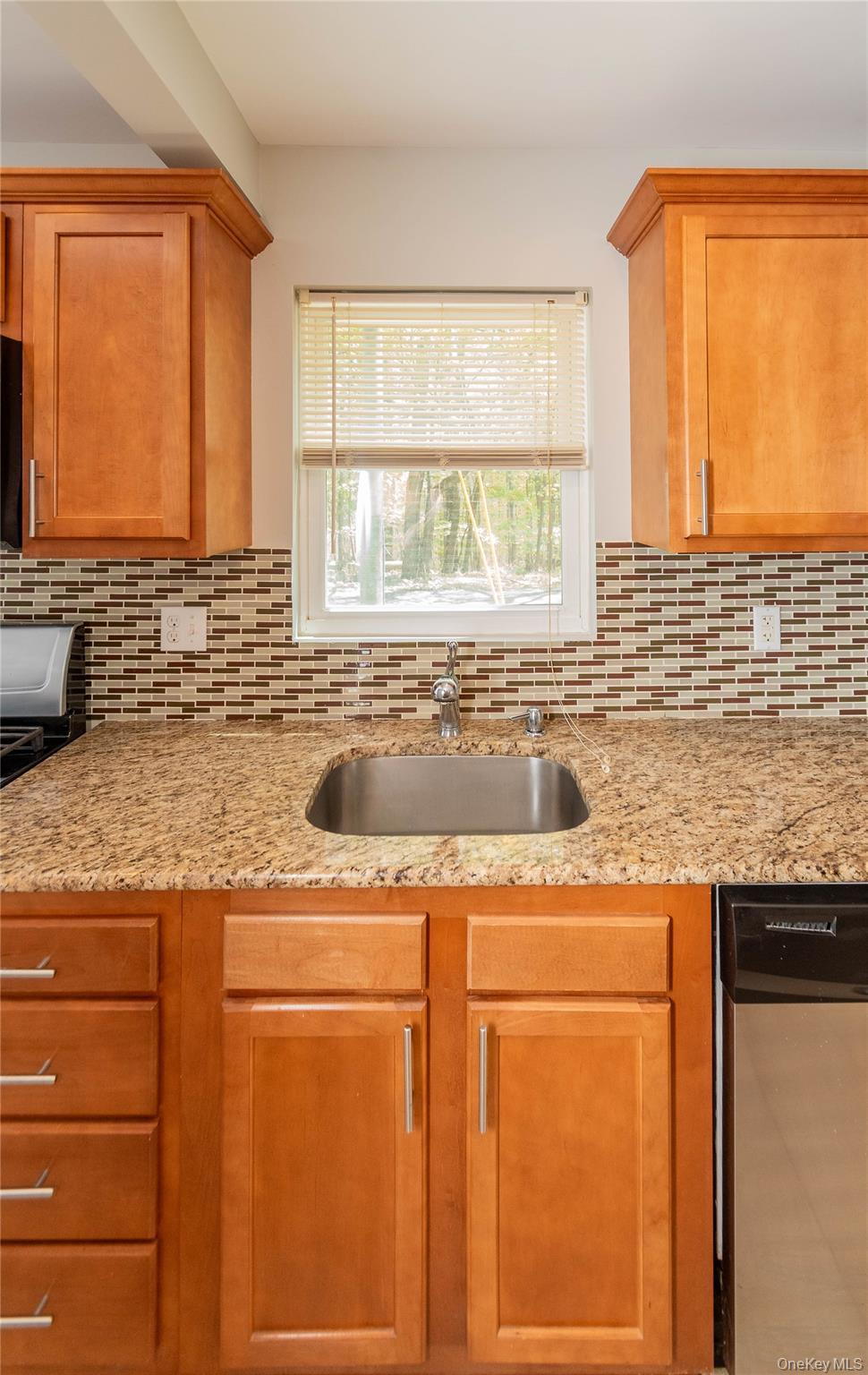 Single Family Forest Glen Road Orange County, NY 10950, MLS-980324-8