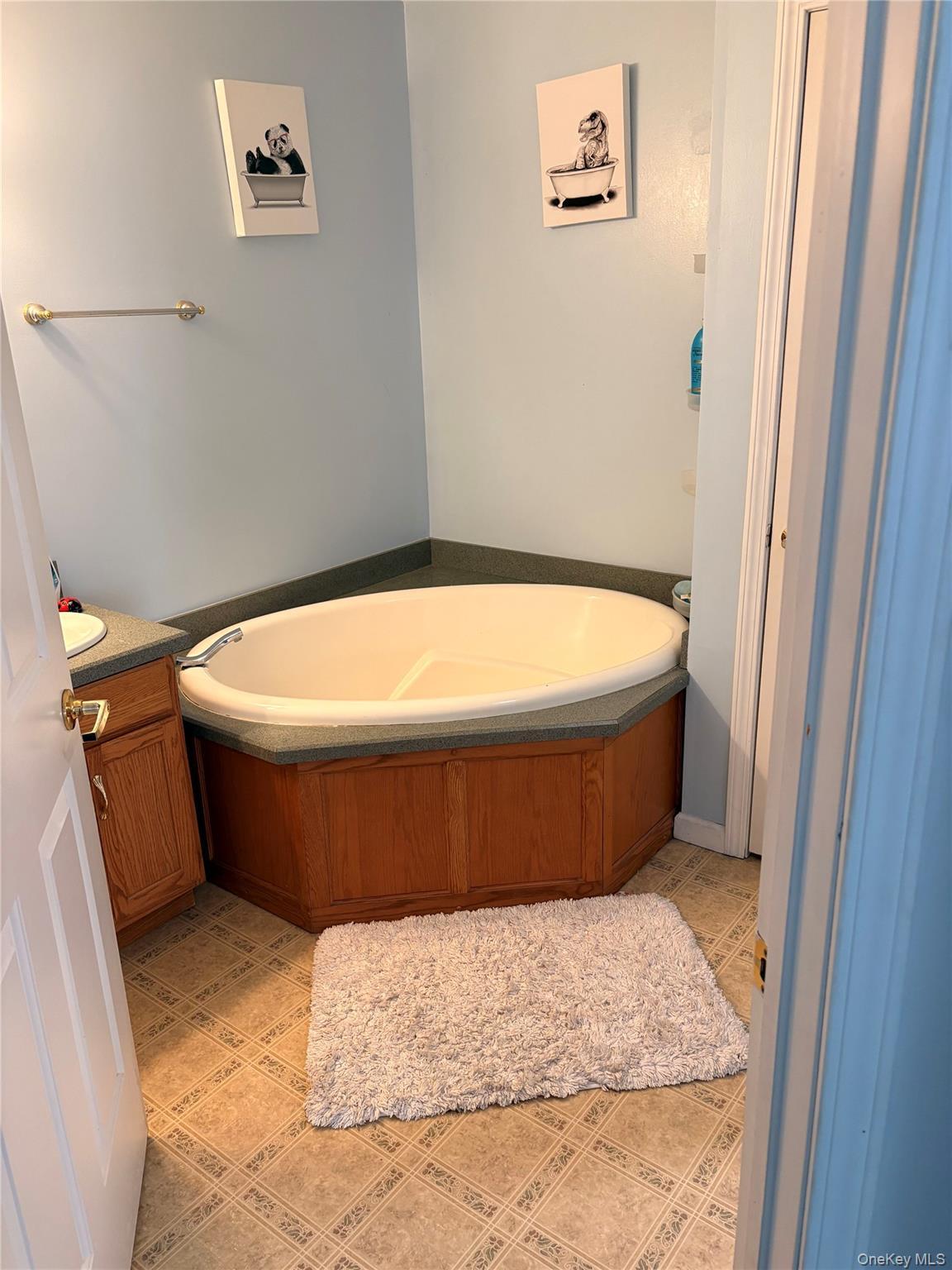 Single Family Marjorie Sullivan County, NY 12701, MLS-980414-29