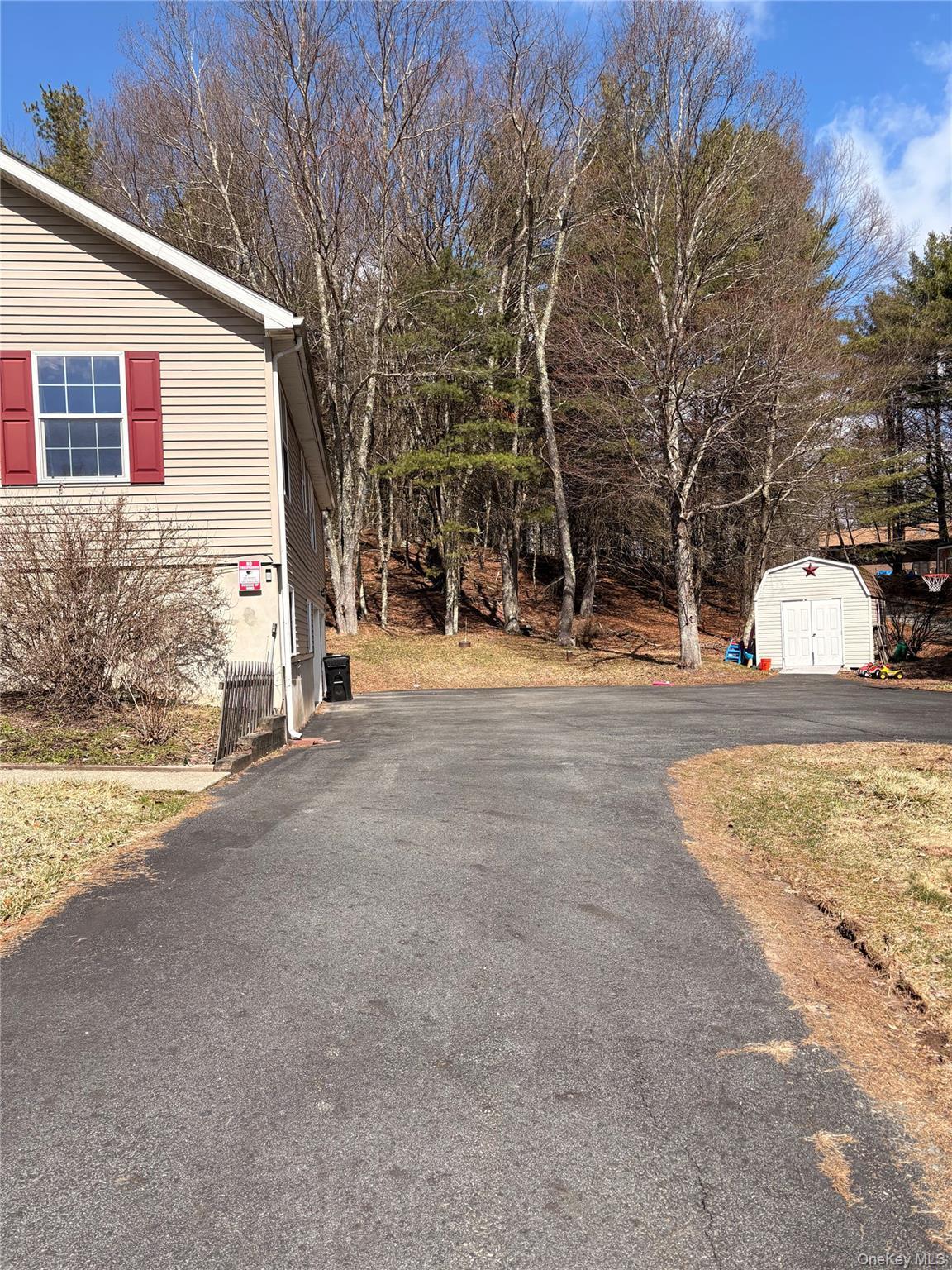 Single Family Marjorie Sullivan County, NY 12701, MLS-980414-3