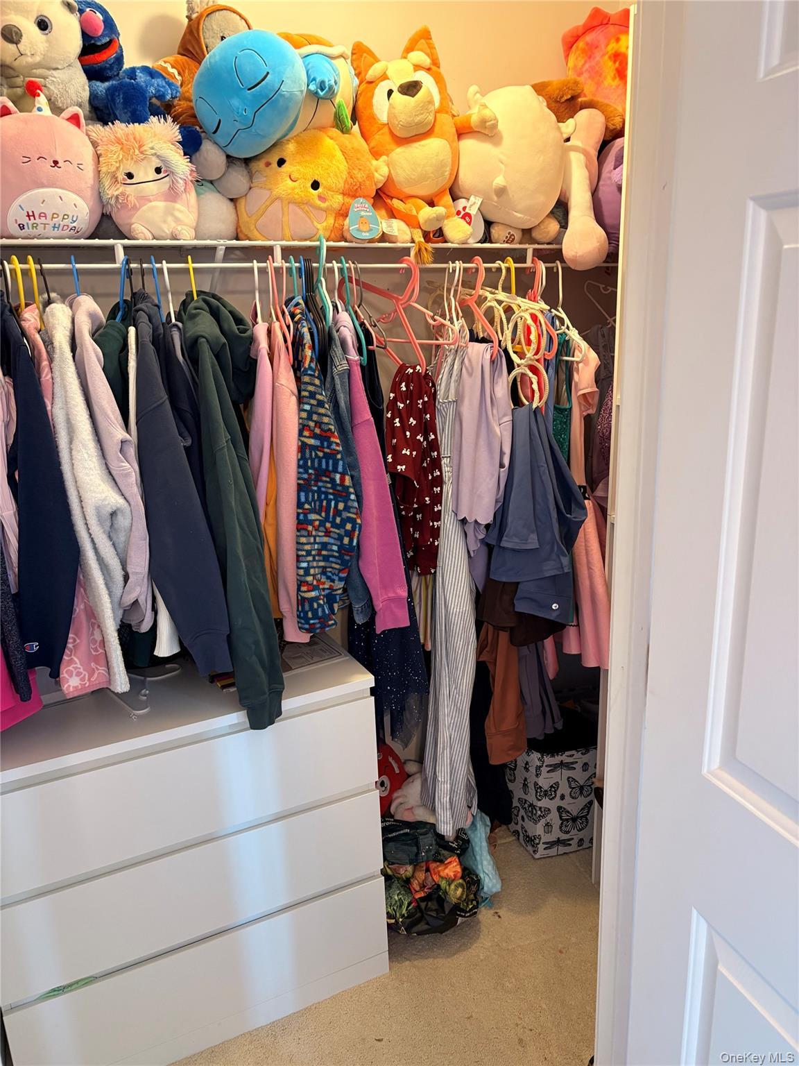 Single Family Marjorie Sullivan County, NY 12701, MLS-980414-35