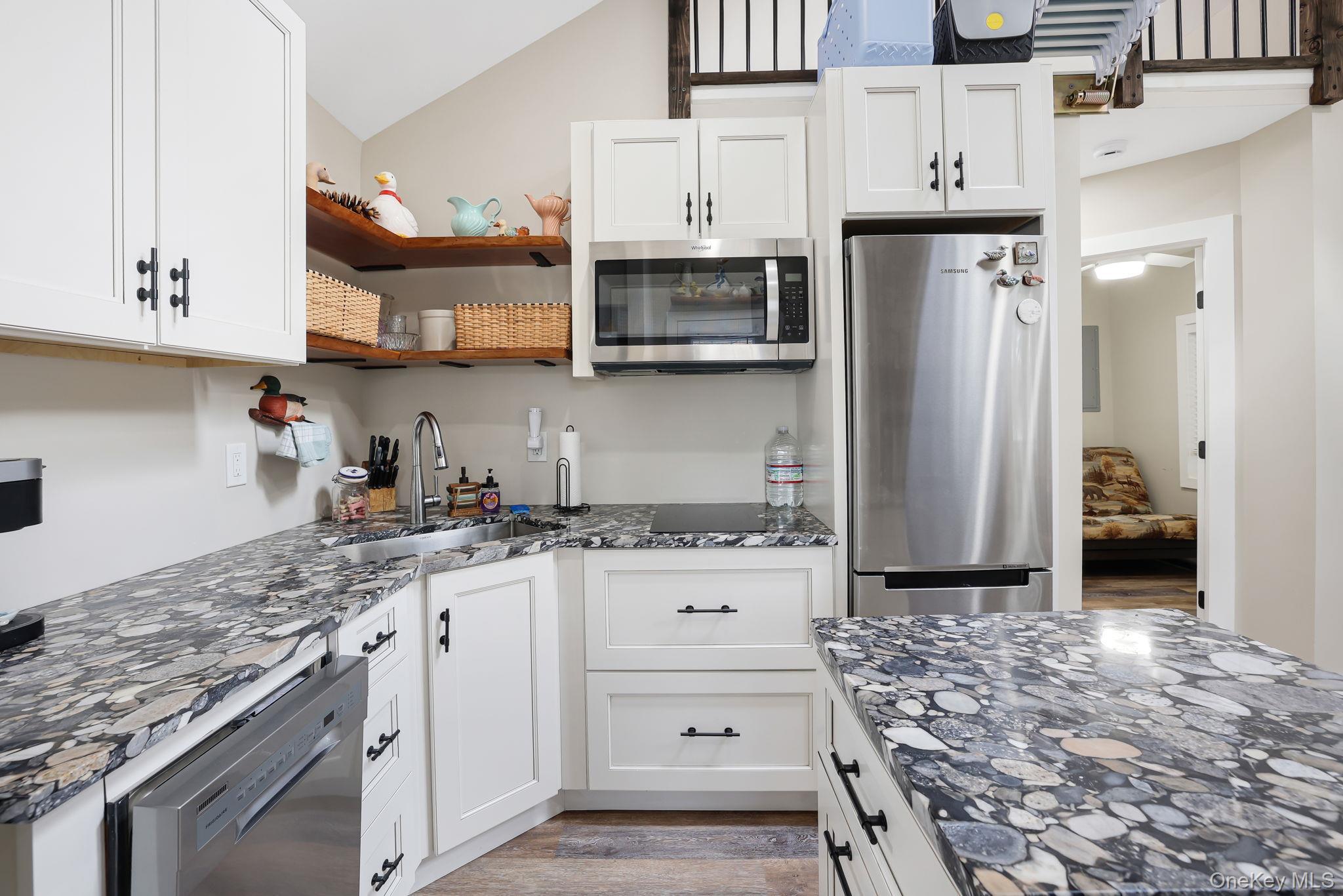 Single Family Minisink  Sullivan County, NY 12737, MLS-980421-8