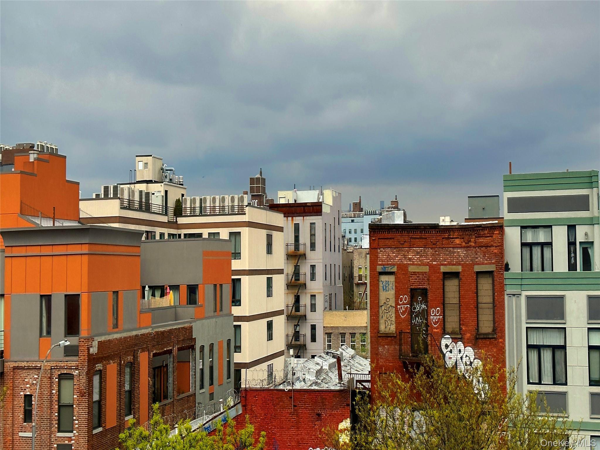 Coop Lafayette  Brooklyn, NY 11221, MLS-980569-20