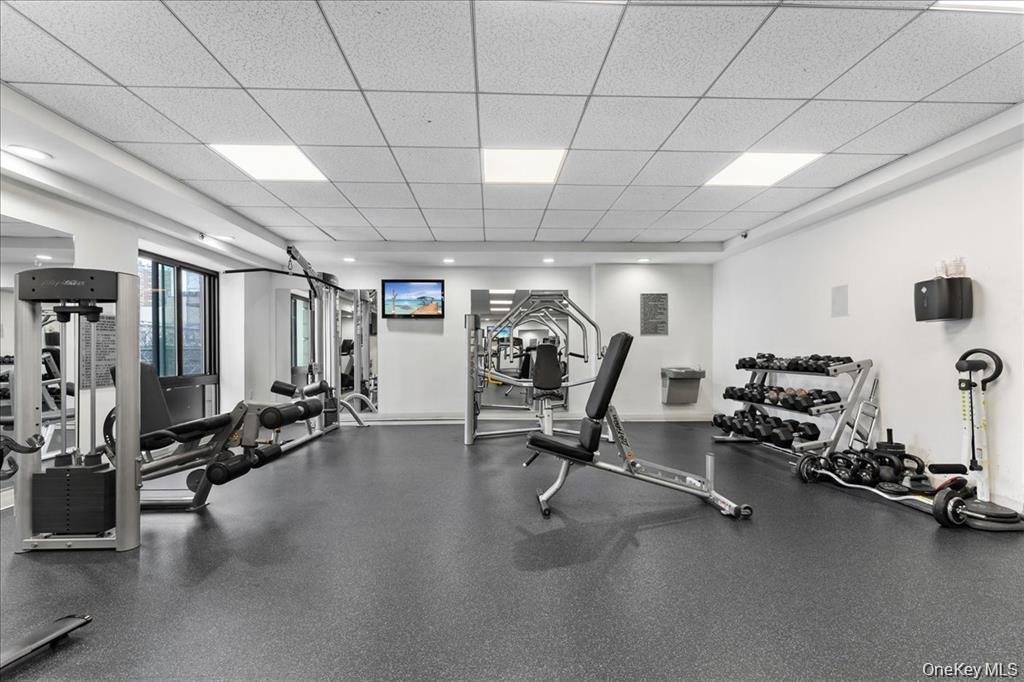 Coop Lafayette  Brooklyn, NY 11221, MLS-980569-21