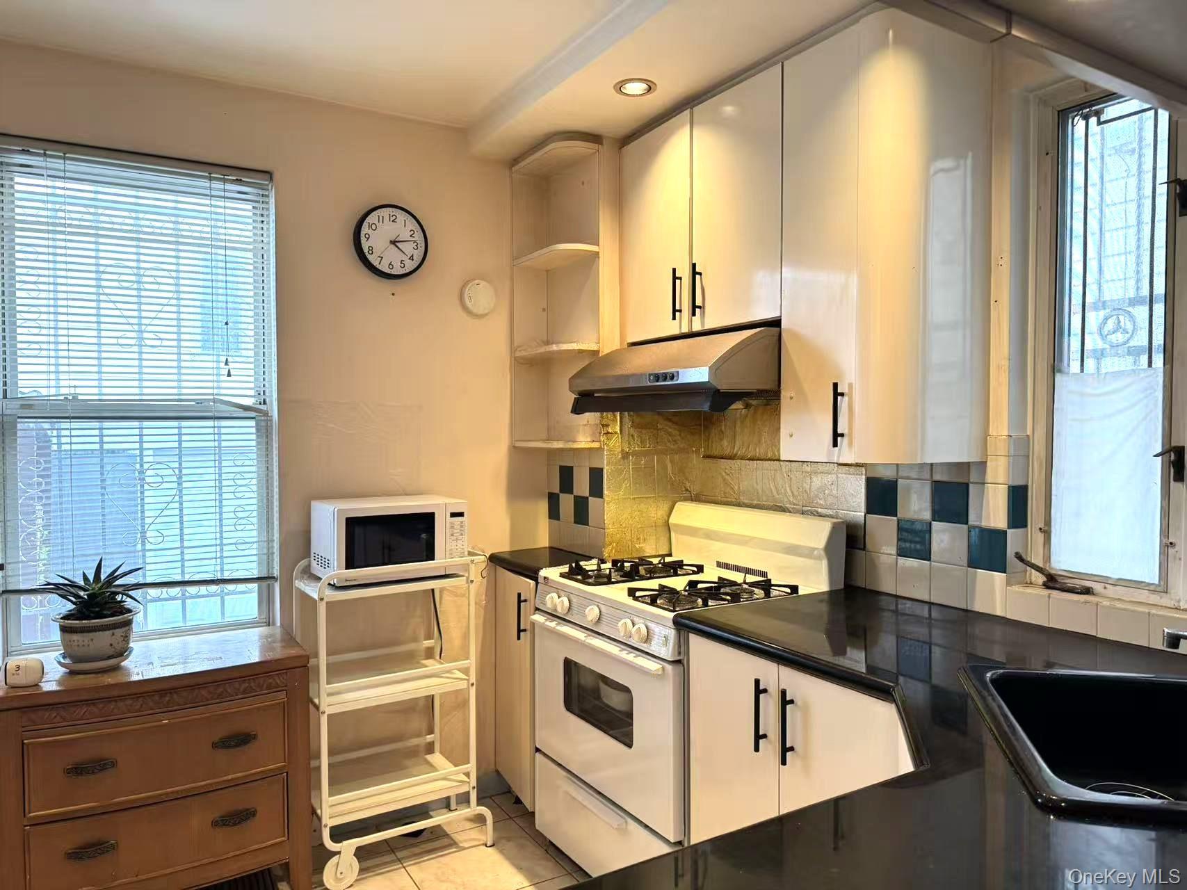 Single Family 105th Queens, NY 11416, MLS-980582-8