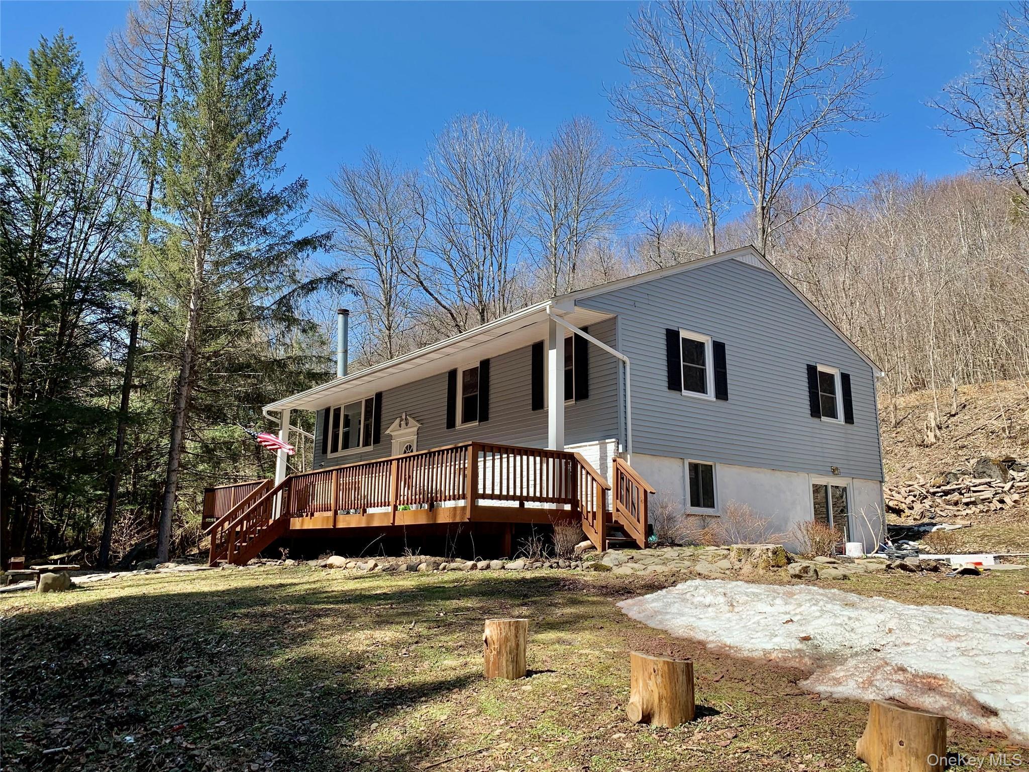 Single Family Basket  Sullivan County, NY 12760, MLS-980611-4