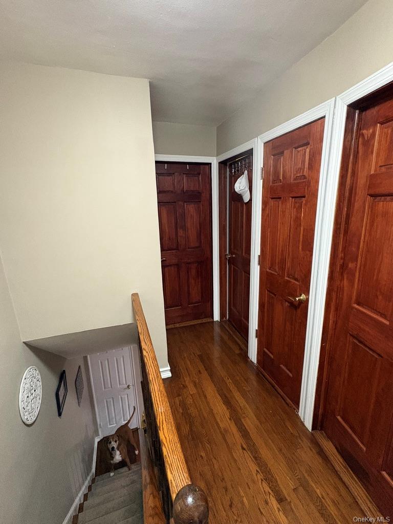 Single Family Vincent  Bronx, NY 10465, MLS-980632-13