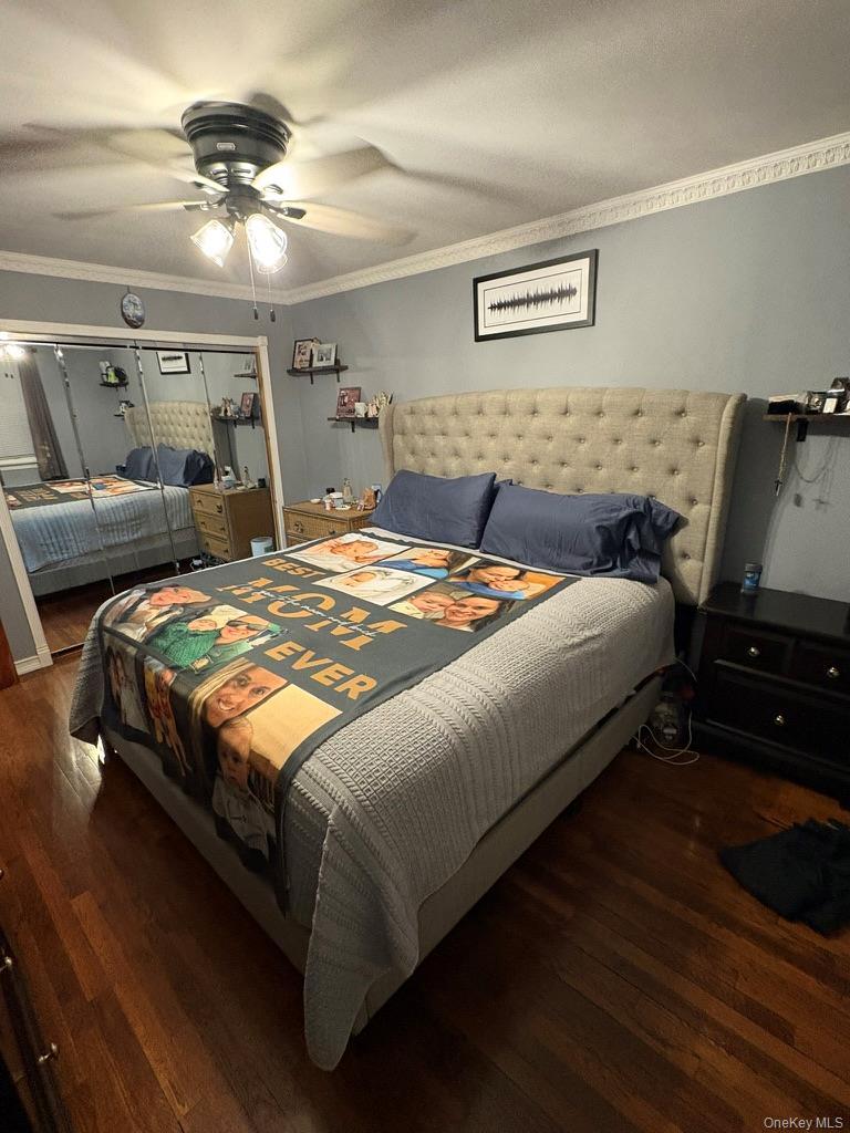 Single Family Vincent  Bronx, NY 10465, MLS-980632-16
