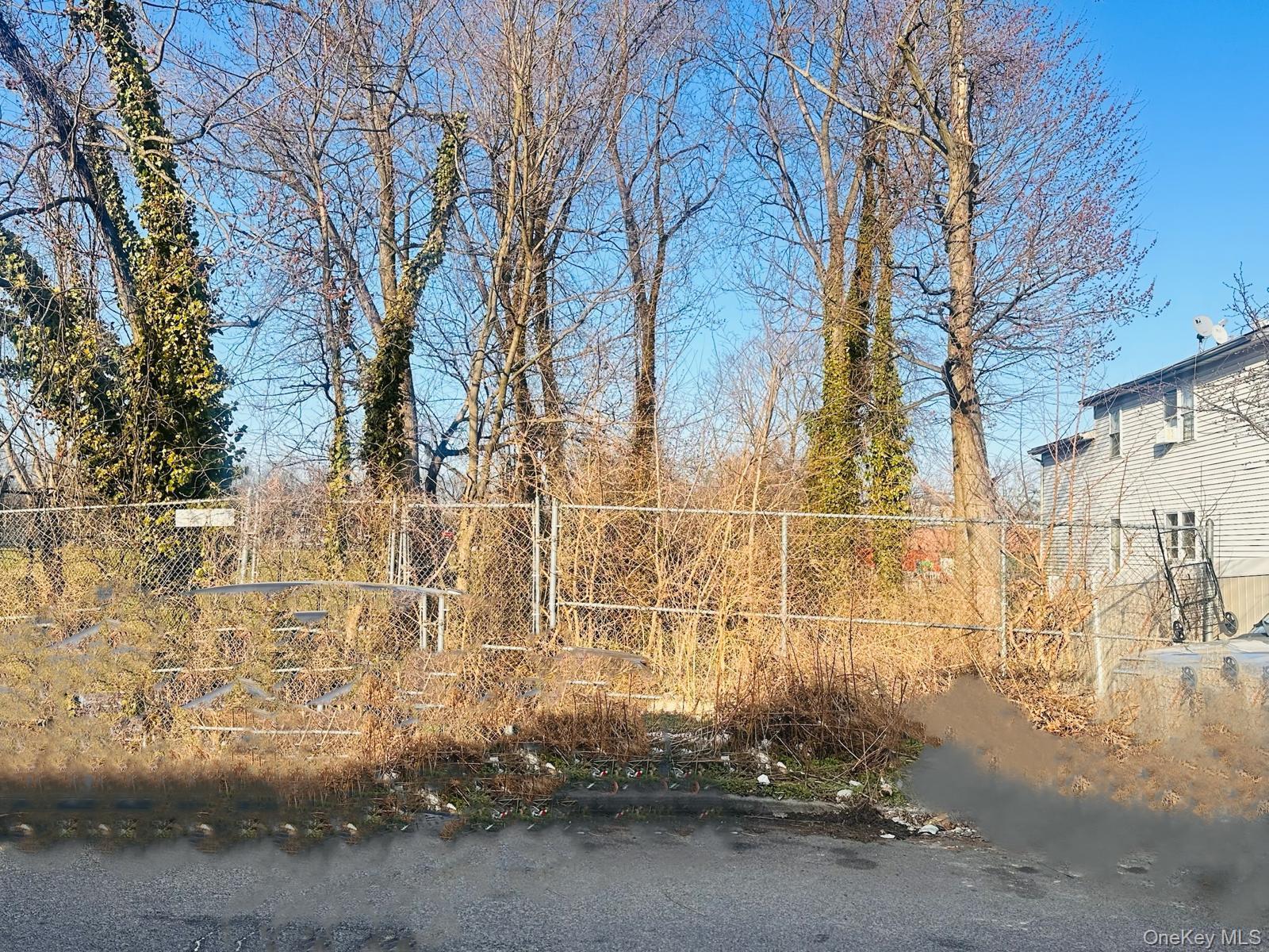 Land Avenue Avenue  Queens, NY 11433, MLS-980639-2