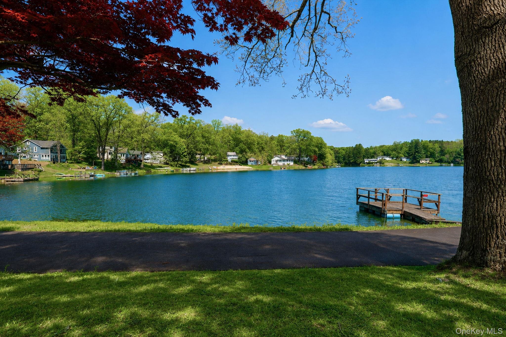 Single Family Well Road Orange County, NY 12586, MLS-980693-2