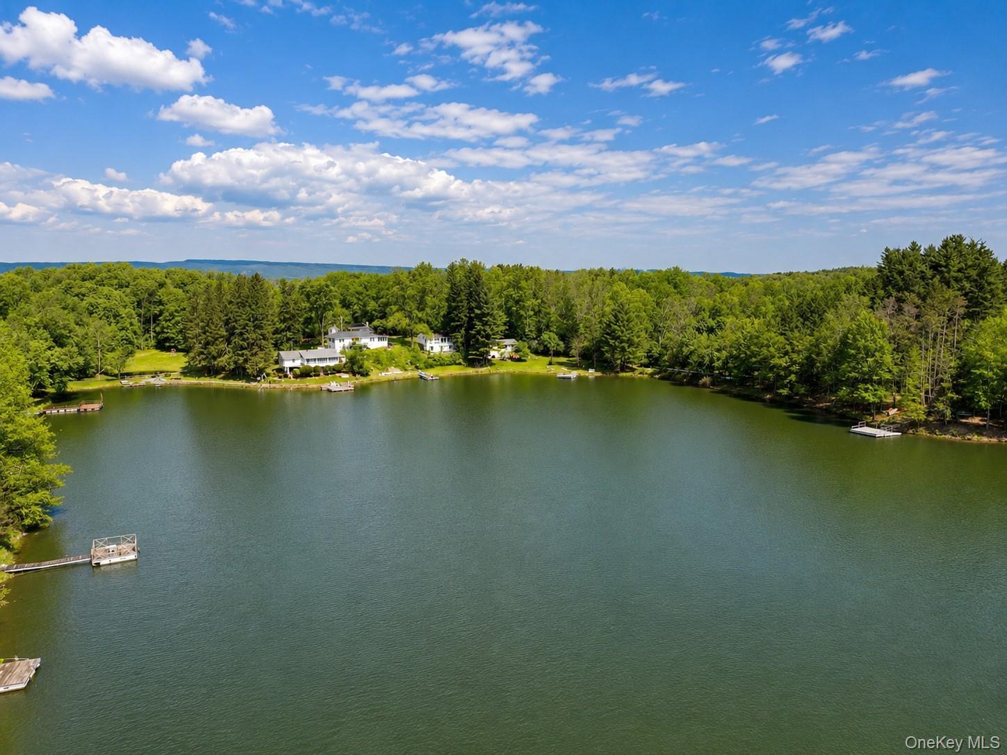 Single Family Well Road Orange County, NY 12586, MLS-980693-38
