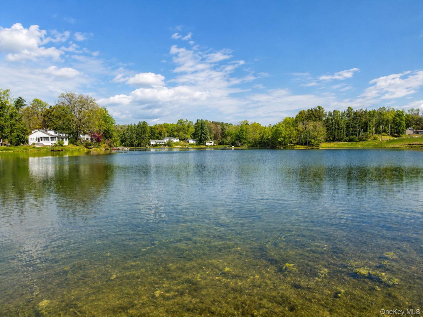 Single Family Well Road Orange County, NY 12586, MLS-980693-39