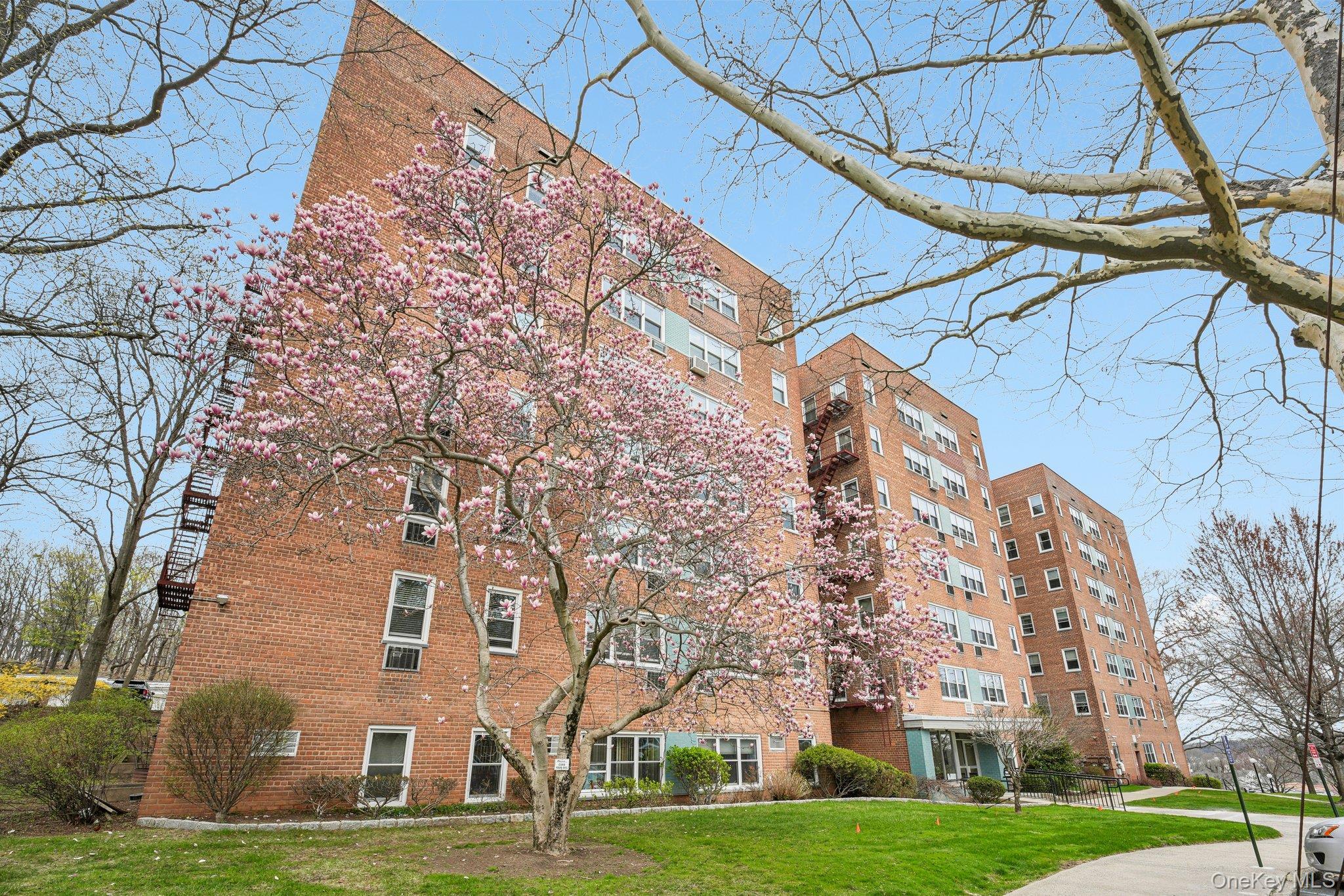 Coop Dehaven Westchester County, NY 10703, MLS-980698-30