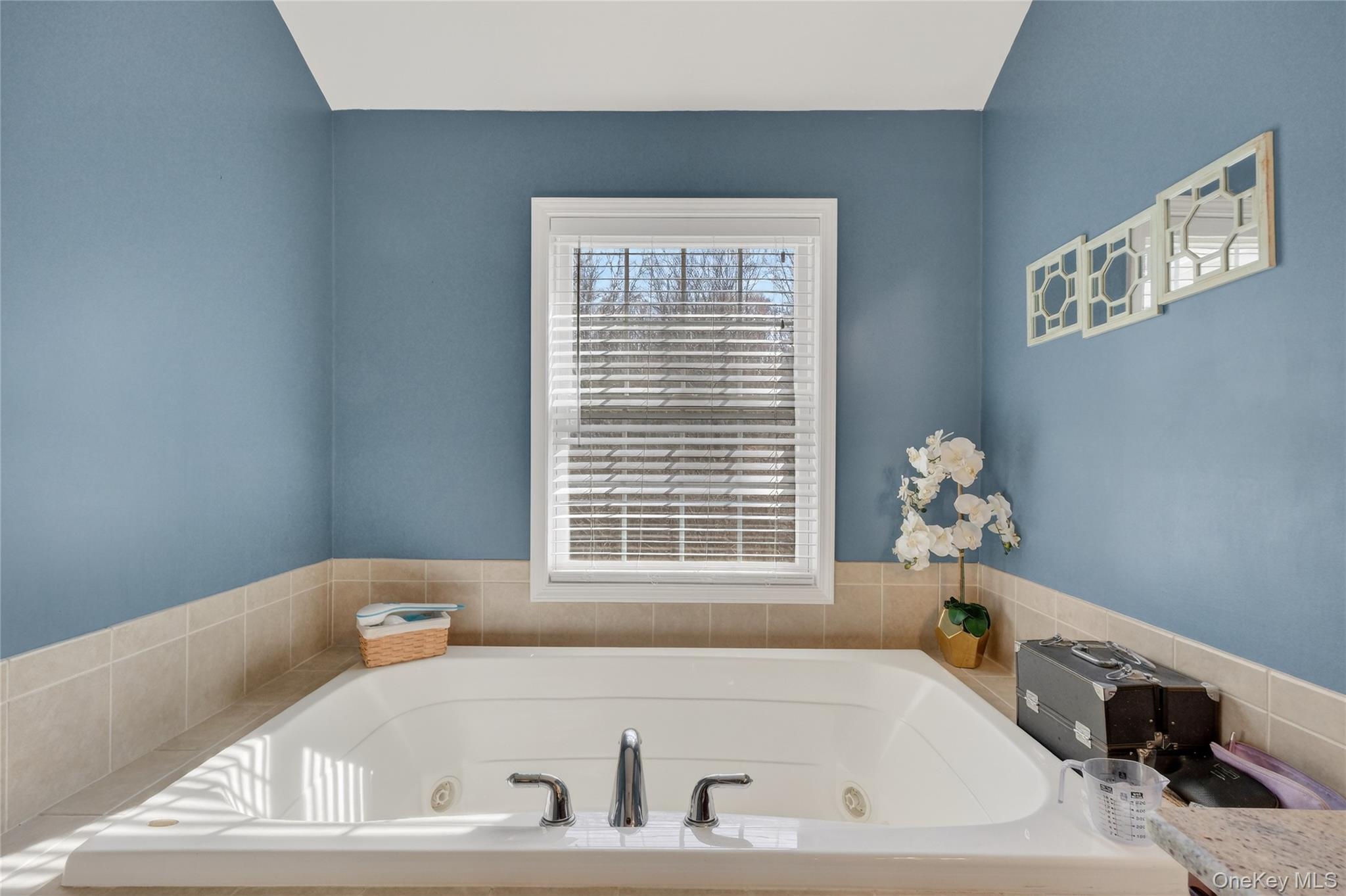 Single Family Meadowood  Dutchess County, NY 12590, MLS-980726-39