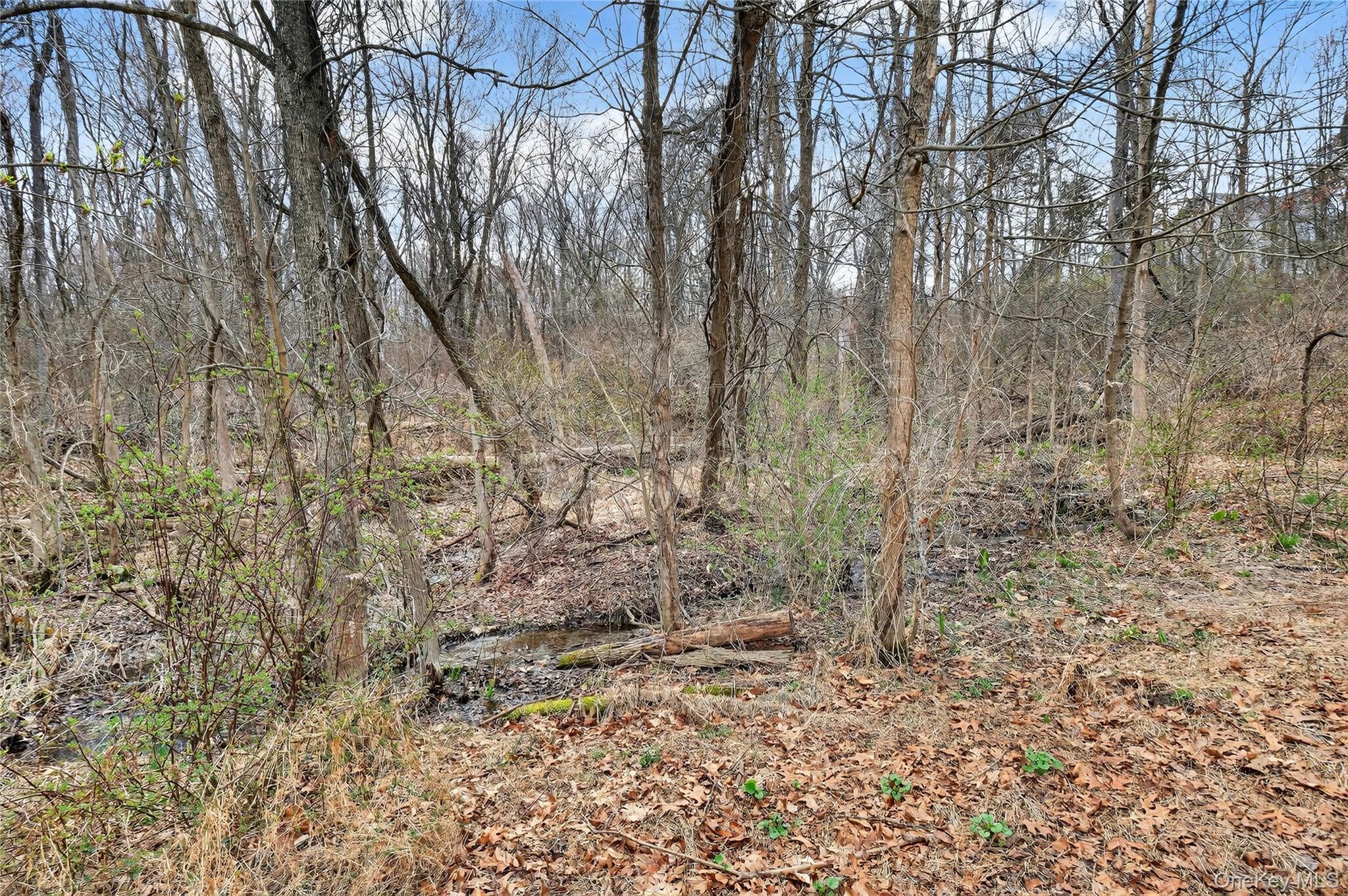 Single Family Meadowood  Dutchess County, NY 12590, MLS-980726-50