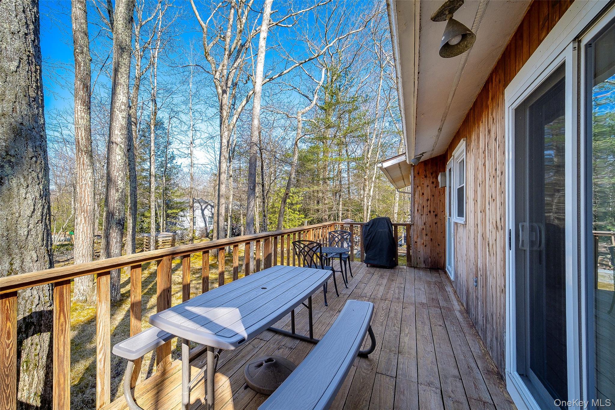 Single Family Essex Street Sullivan County, NY 12775, MLS-980754-18