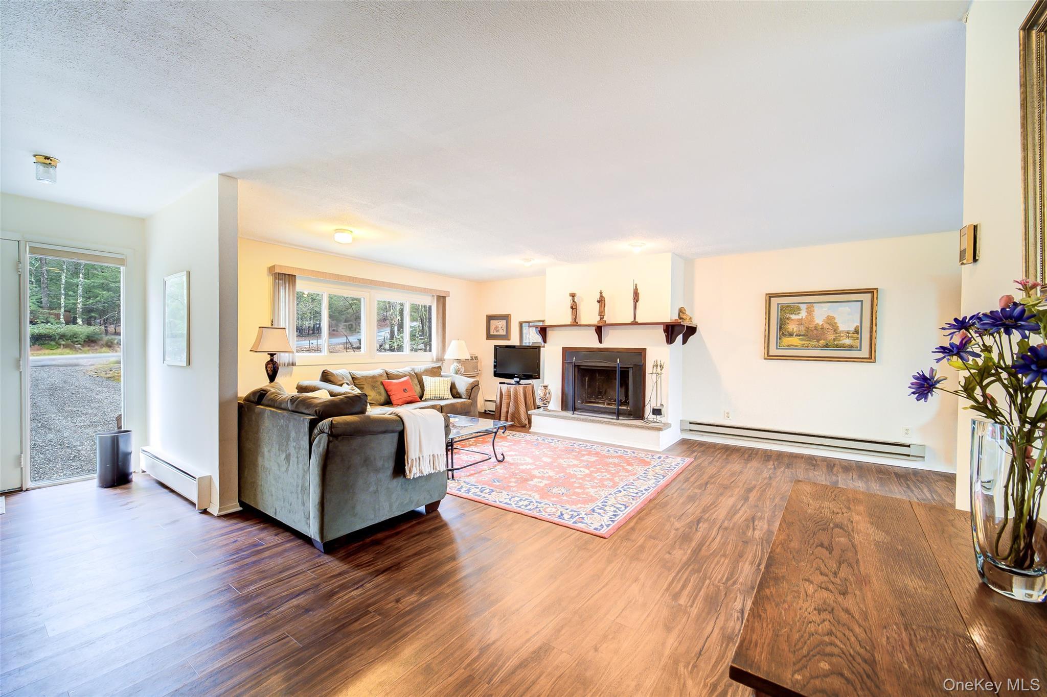 Single Family Essex Street Sullivan County, NY 12775, MLS-980754-4