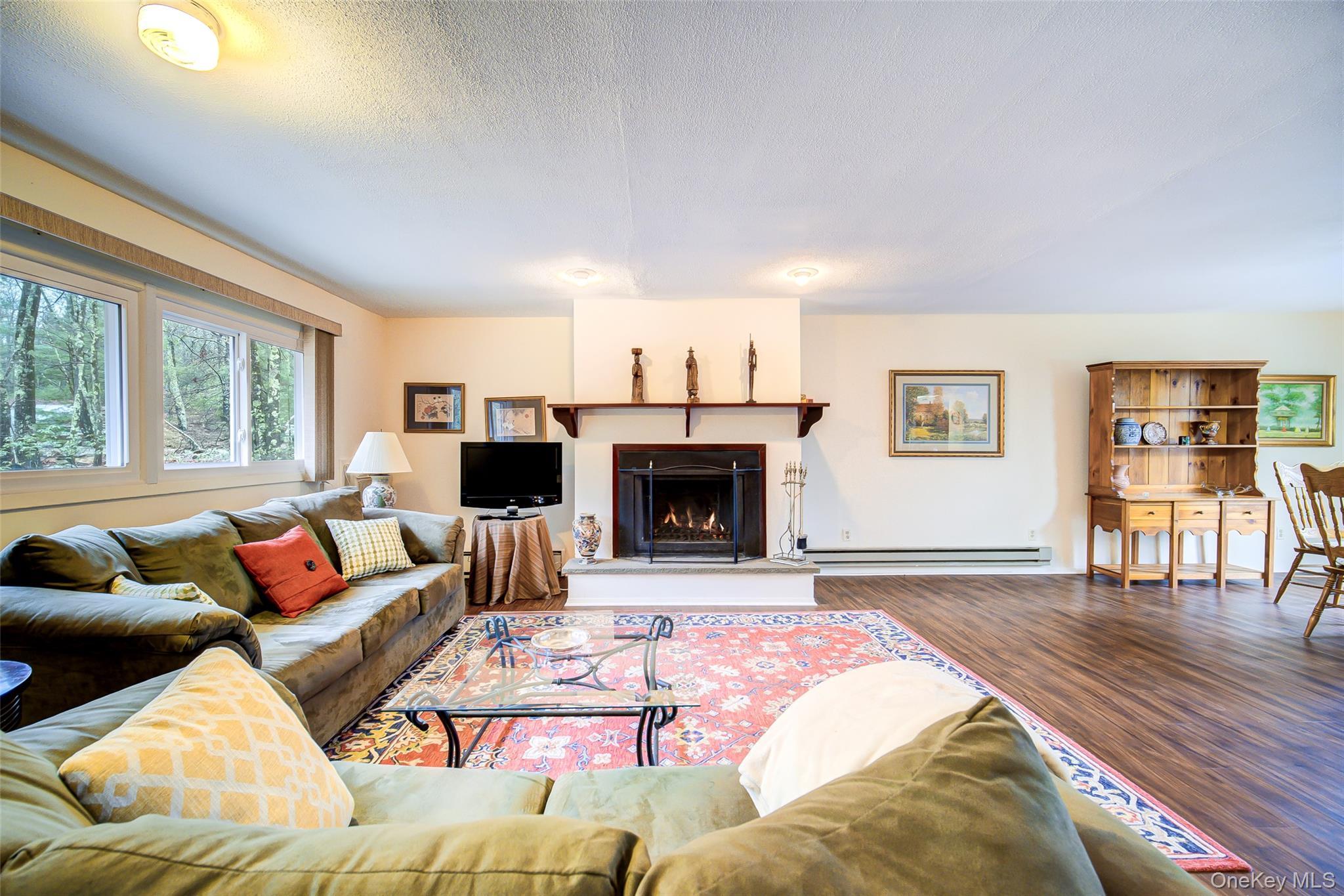 Single Family Essex Street Sullivan County, NY 12775, MLS-980754-7