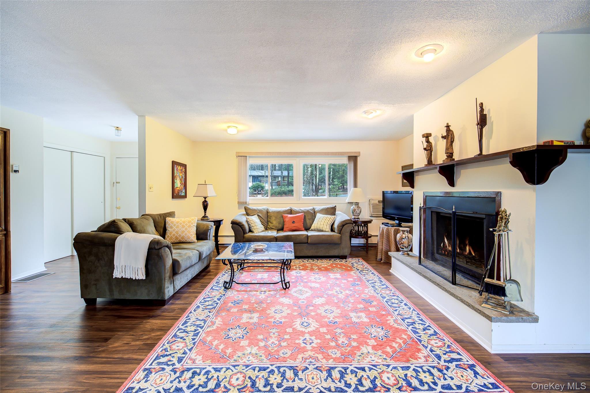 Single Family Essex Street Sullivan County, NY 12775, MLS-980754-8