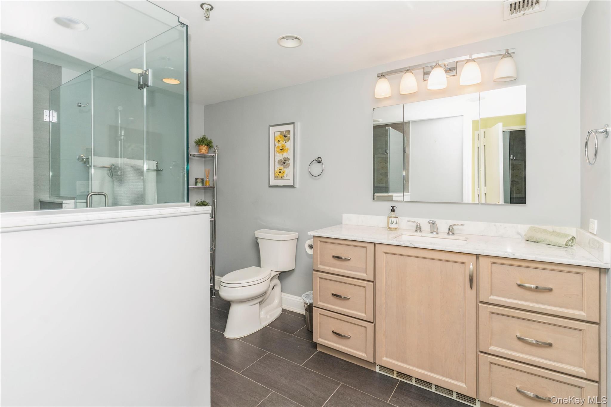 Condo Cherry Valley  Nassau County, NY 11530, MLS-980797-14