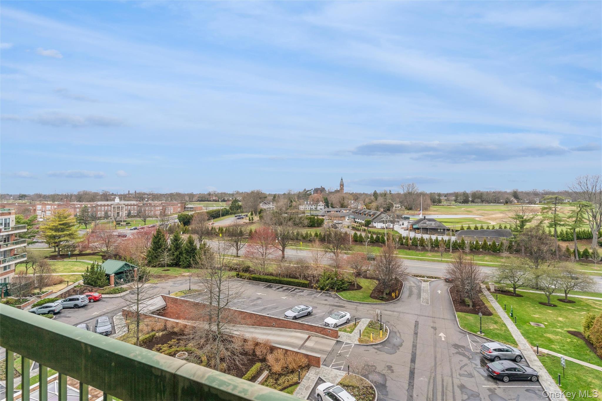 Condo Cherry Valley  Nassau County, NY 11530, MLS-980797-17