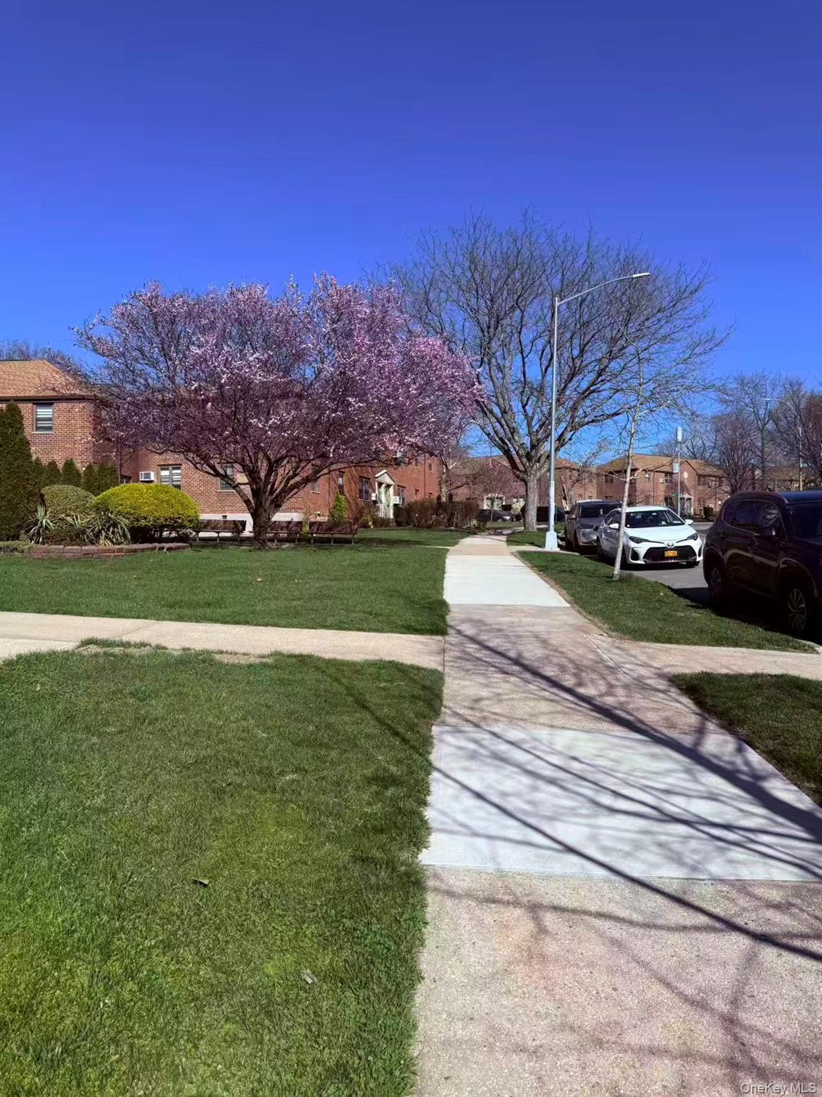 Coop 57 Dr  Queens, NY 11362, MLS-980798-3