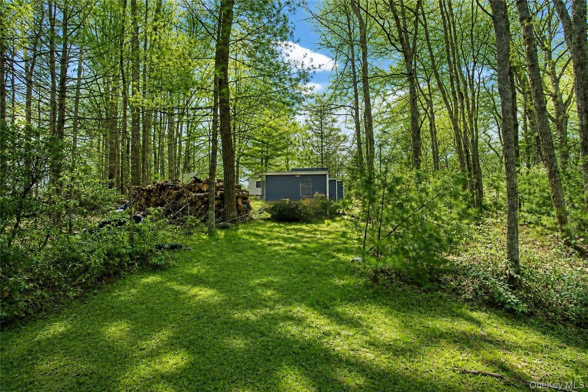 Single Family Brook Trail W  Sullivan County, NY 12790, MLS-980821-7
