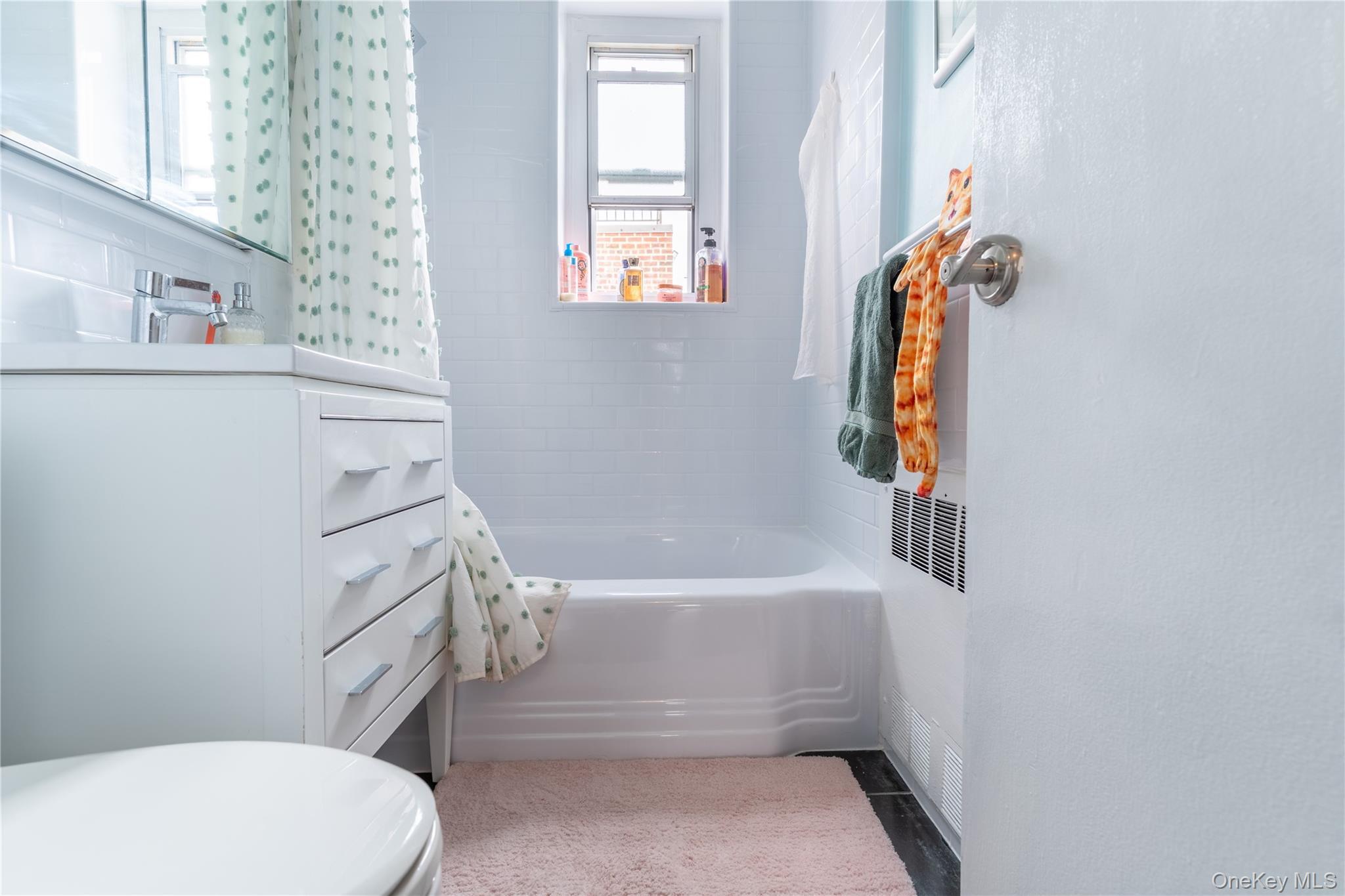 Coop 18th  Queens, NY 11360, MLS-980836-28