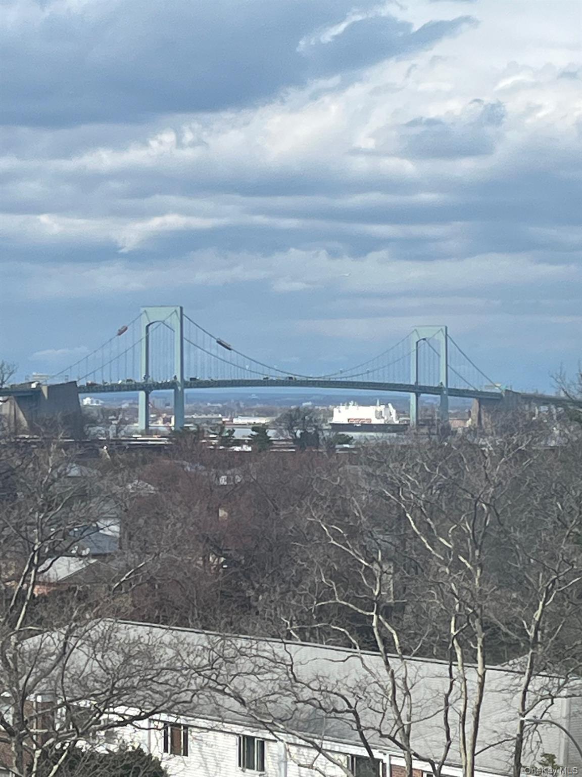 Coop 18th  Queens, NY 11360, MLS-980836-32