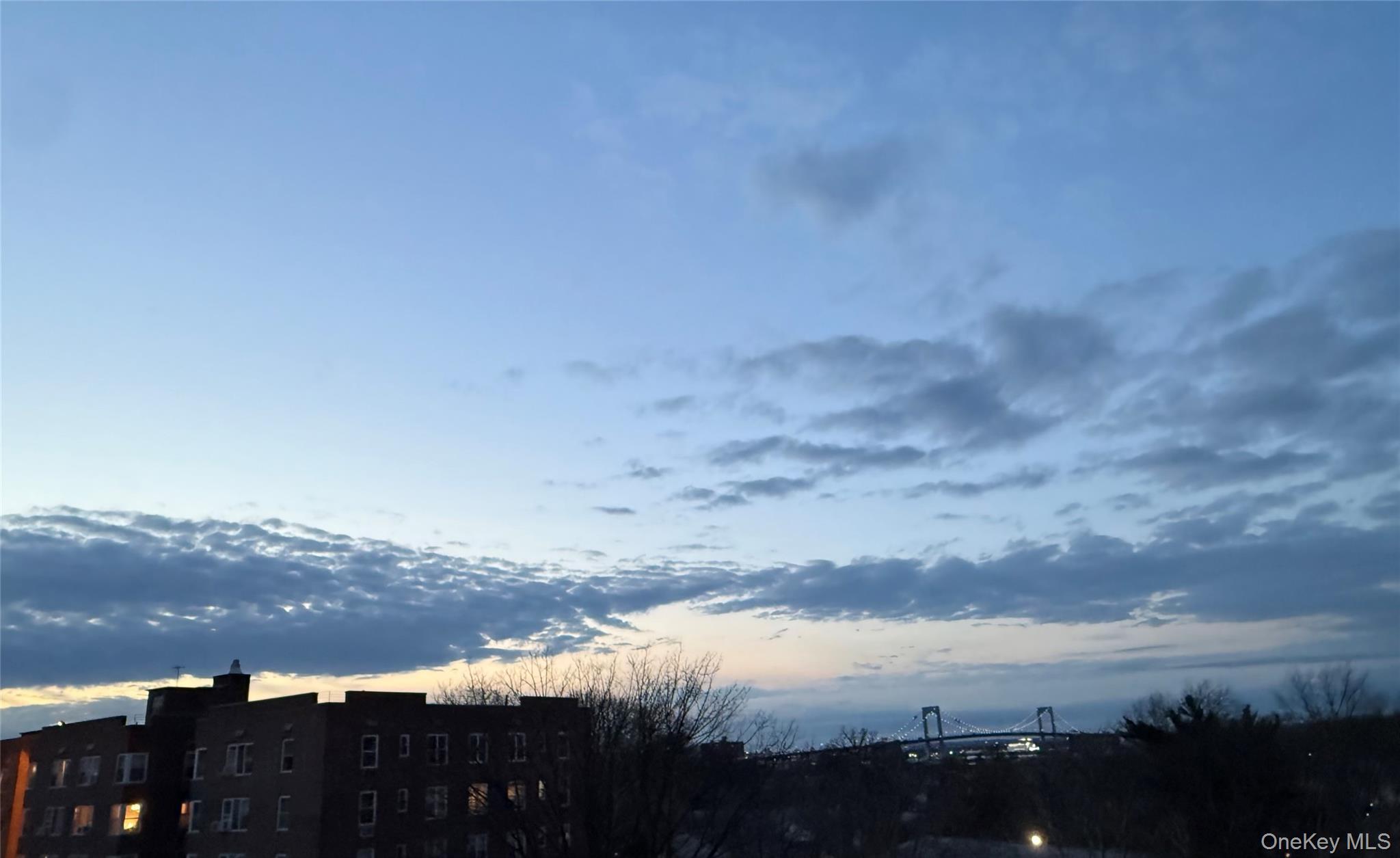 Coop 18th  Queens, NY 11360, MLS-980836-33