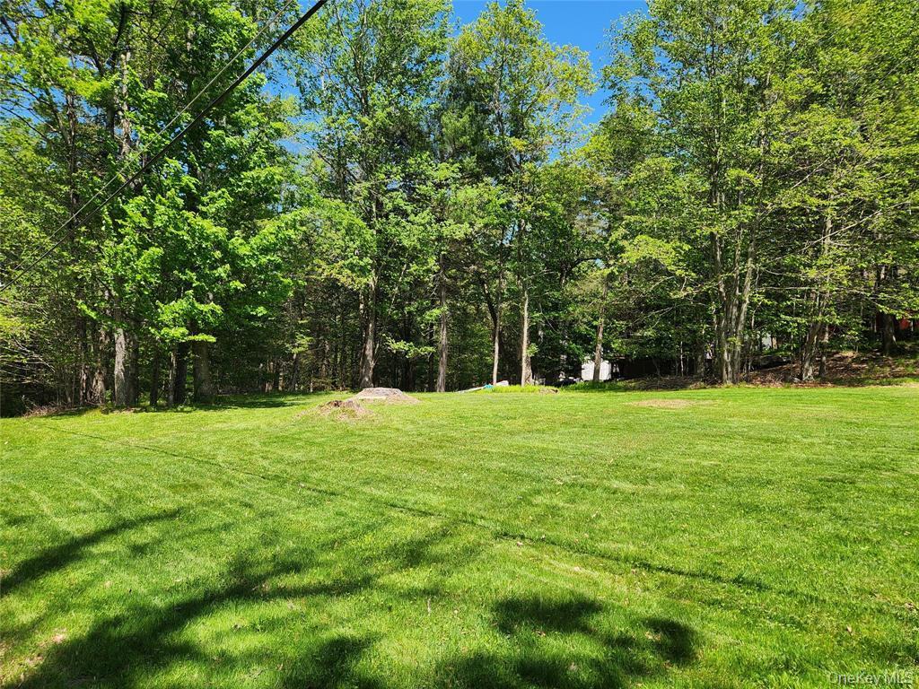 Single Family Kenoza  Sullivan County, NY 12778, MLS-980932-32