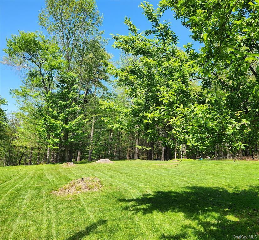 Single Family Kenoza  Sullivan County, NY 12778, MLS-980932-33