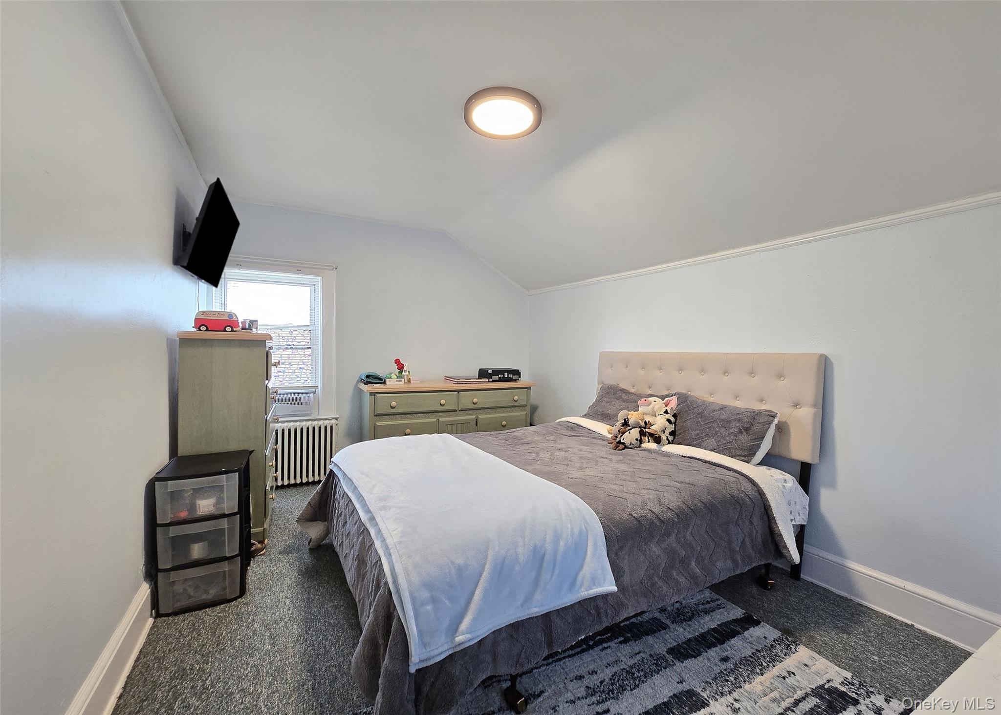 Single Family 11th  Suffolk County, NY 11779, MLS-980954-18