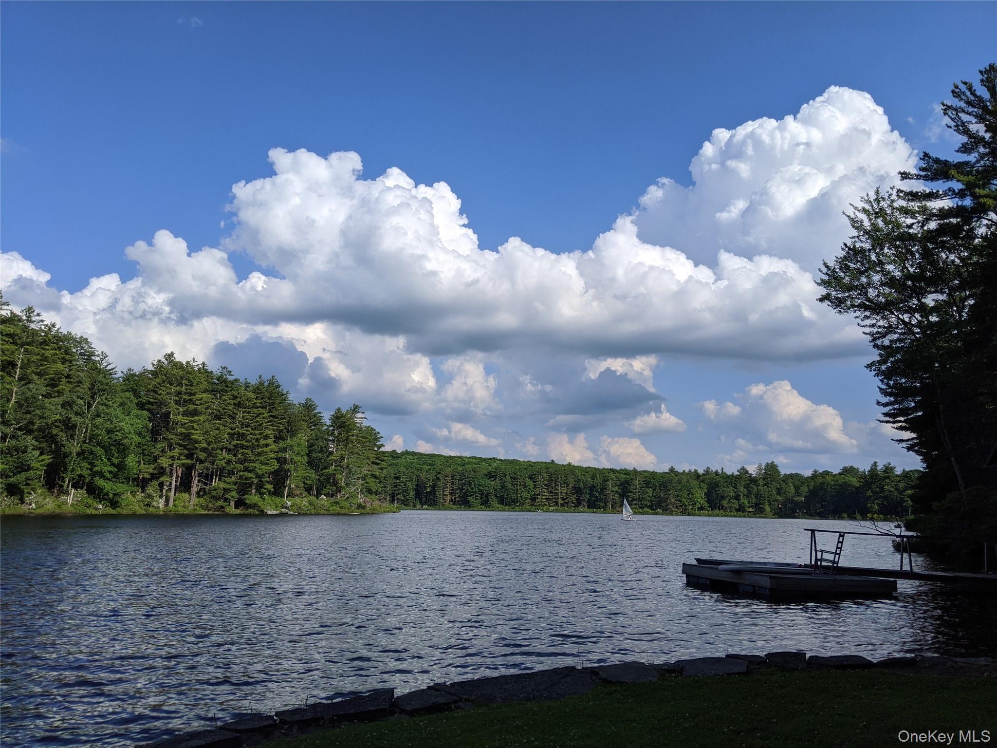Single Family Inn Road Sullivan County, NY 12777, MLS-980987-8