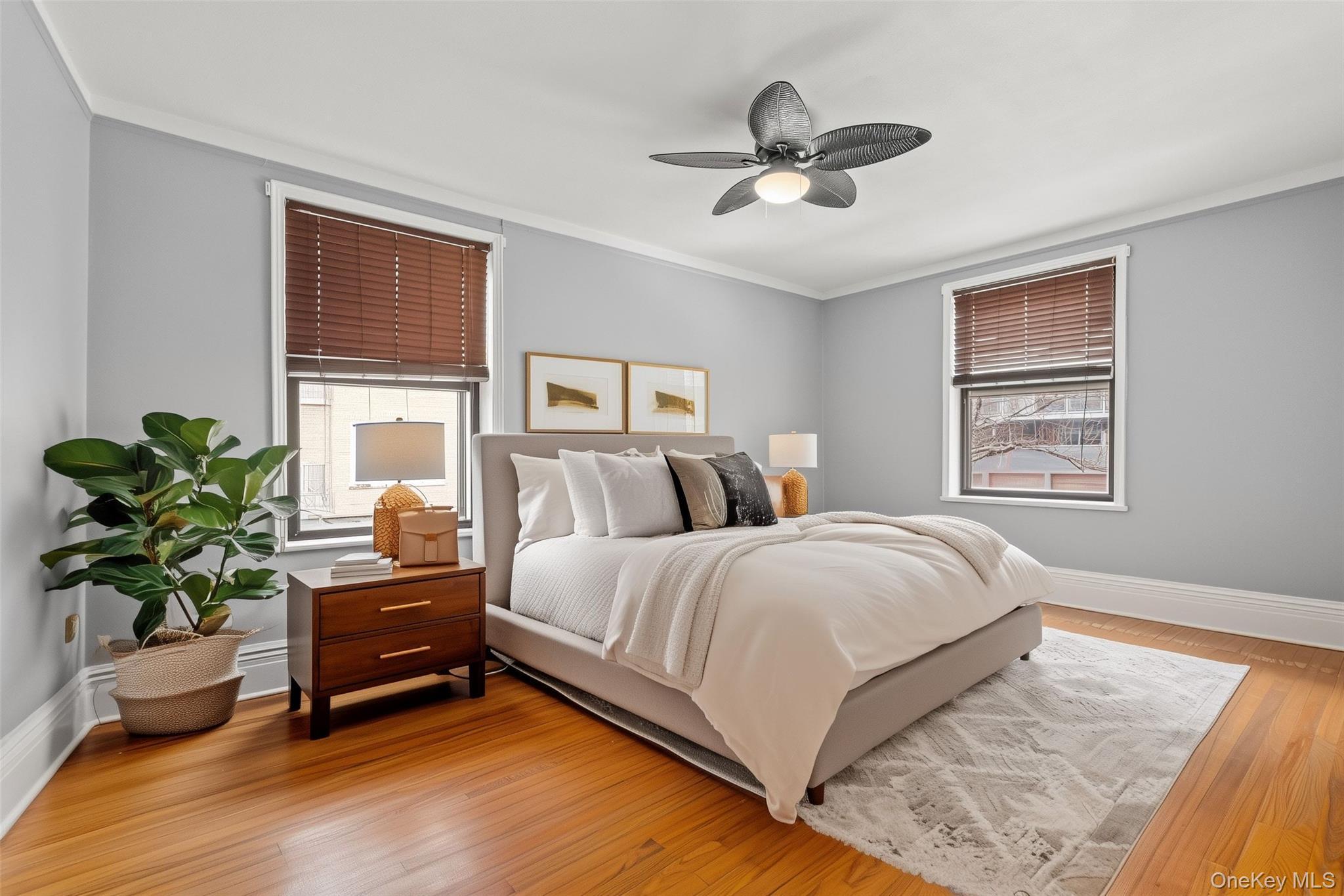 Coop Avenue H  Brooklyn, NY 11210, MLS-981020-10