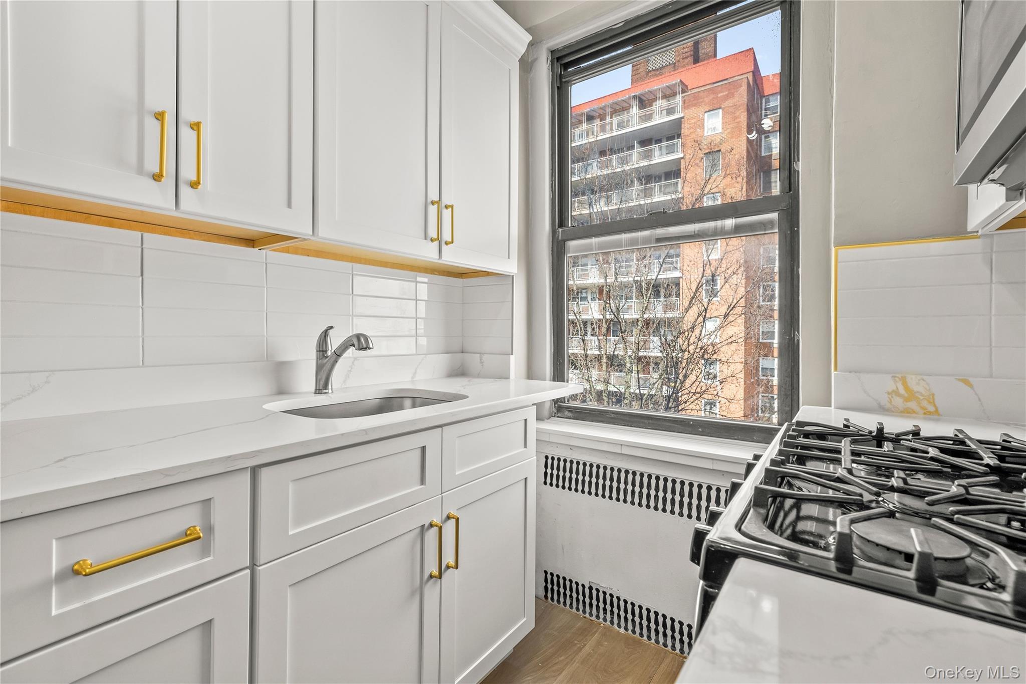 Coop Avenue H  Brooklyn, NY 11210, MLS-981020-7