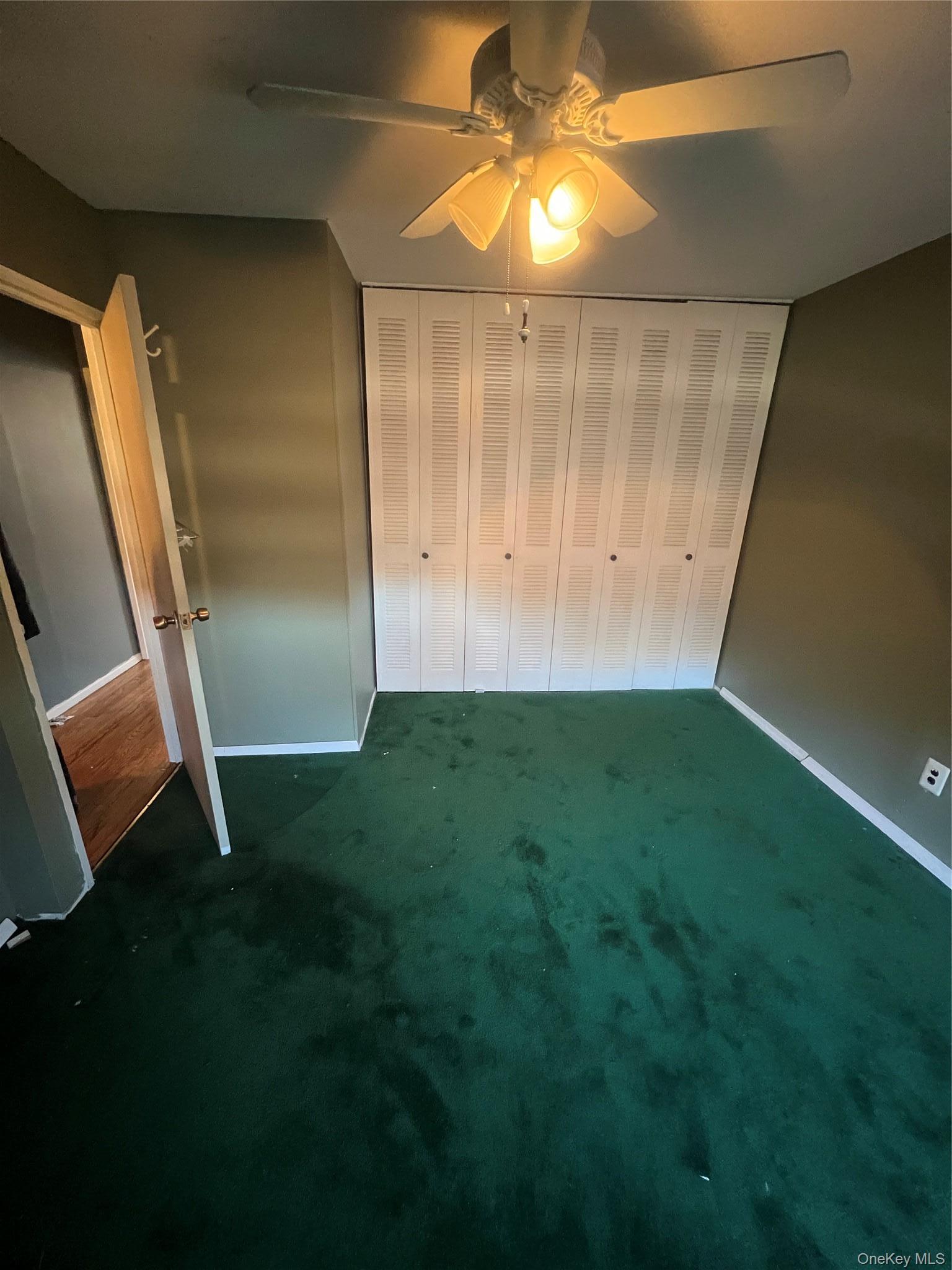 Single Family Christopher  Brooklyn, NY 11212, MLS-981044-7