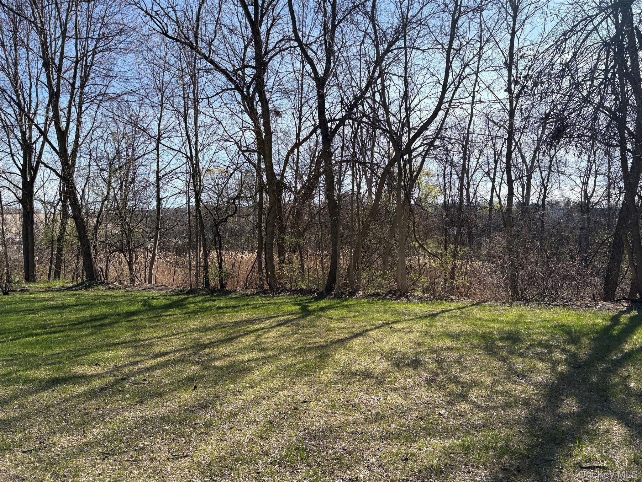 Coop Cooper  Dutchess County, NY 12603, MLS-981070-5