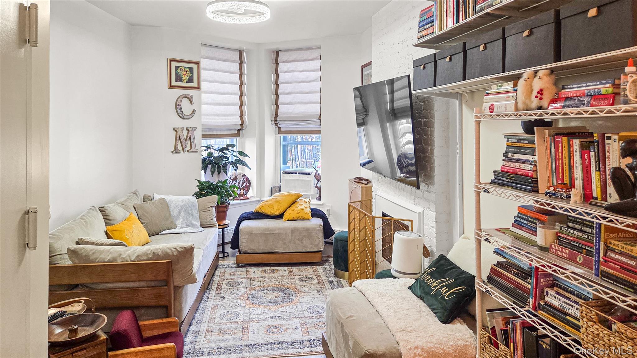 Condo Hull Brooklyn, NY 11233, MLS-981085-2