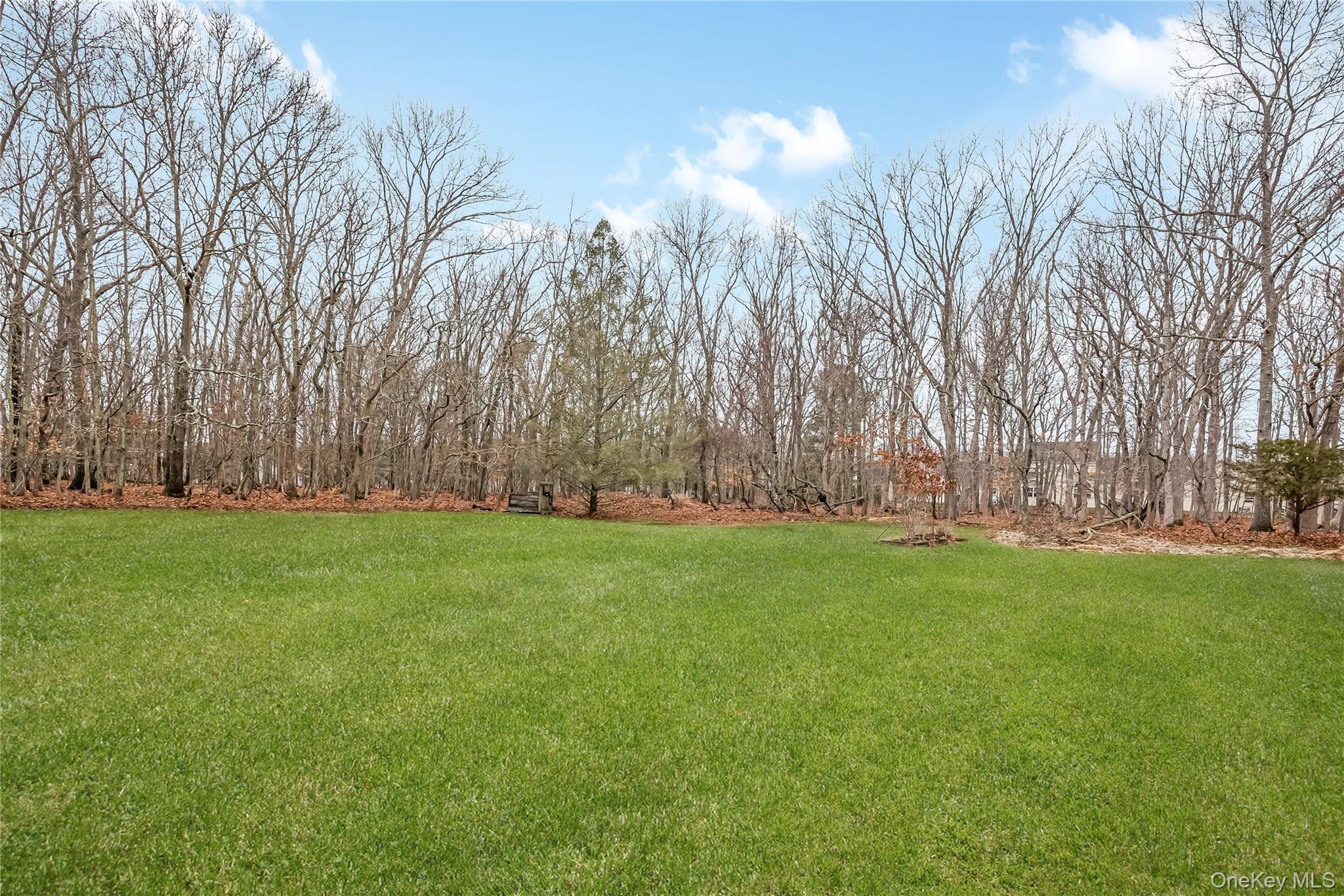 Single Family Buckskin  Suffolk County, NY 11901, MLS-981123-28