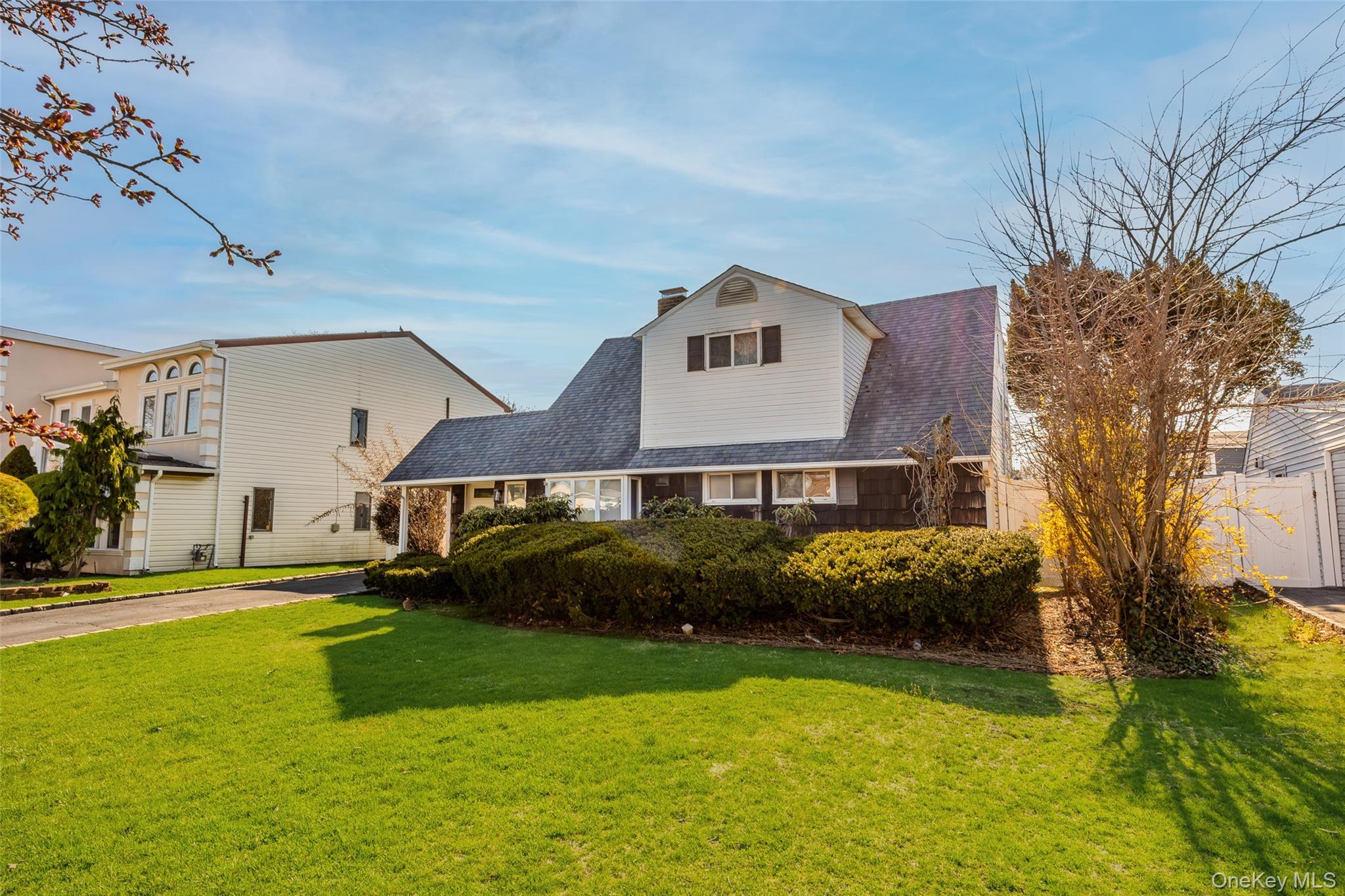 Single Family Link  Nassau County, NY 11801, MLS-981127-2