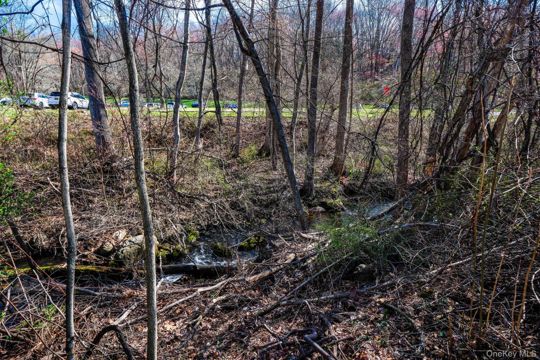 Condo Heritage  Westchester County, NY 10589, MLS-981129-27