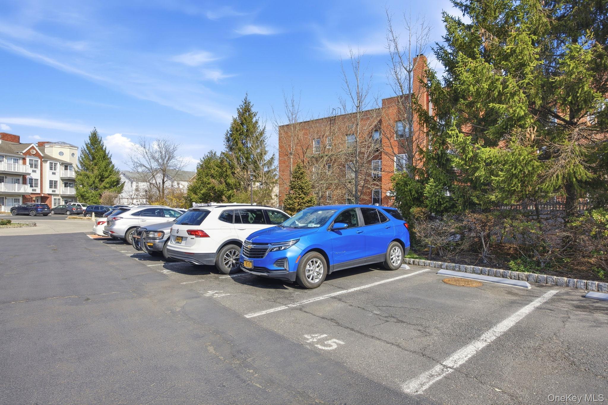 Condo Magnolia Queens, NY 11417, MLS-981131-3