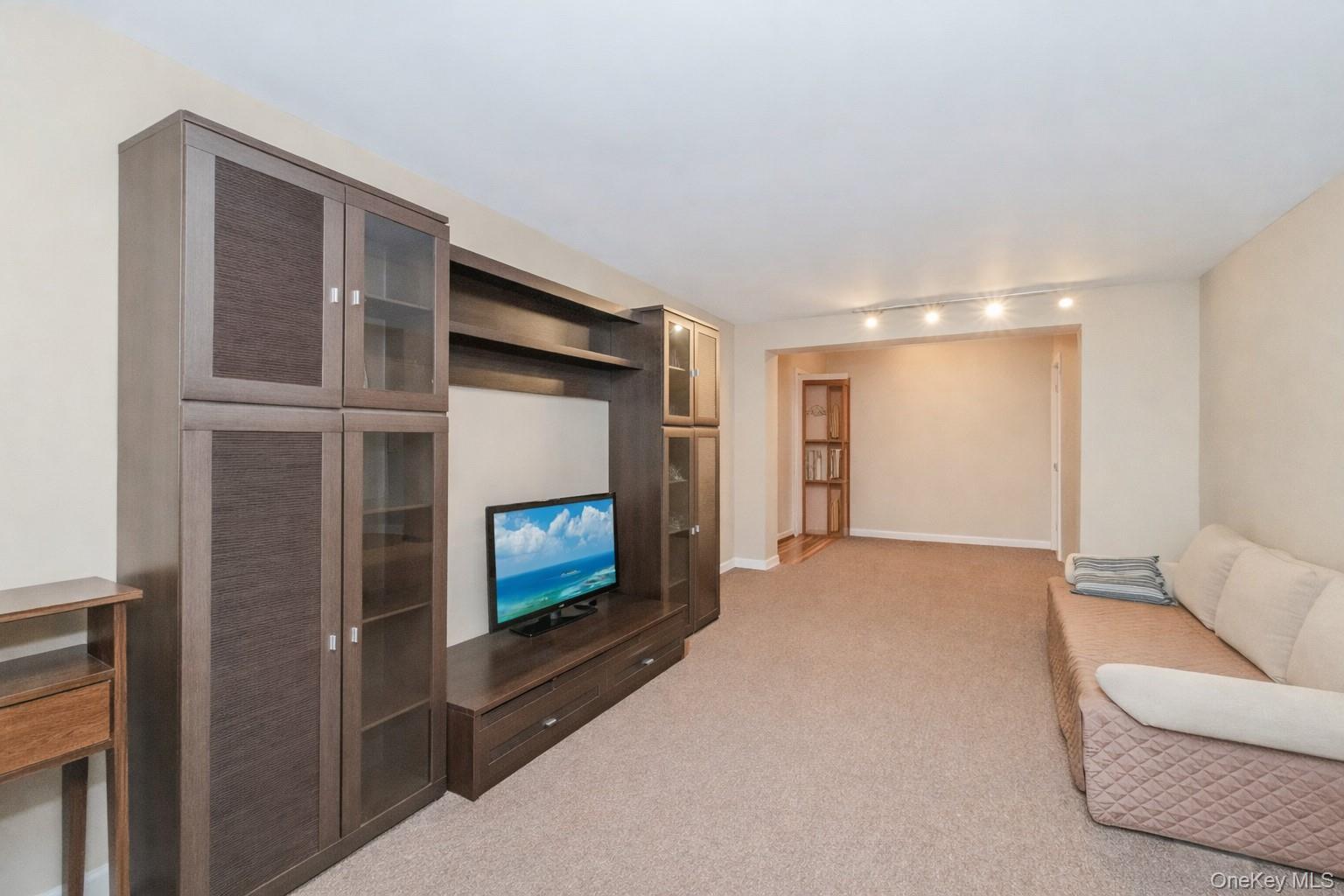 Condo 3rd Brooklyn, NY 11223, MLS-981269-20