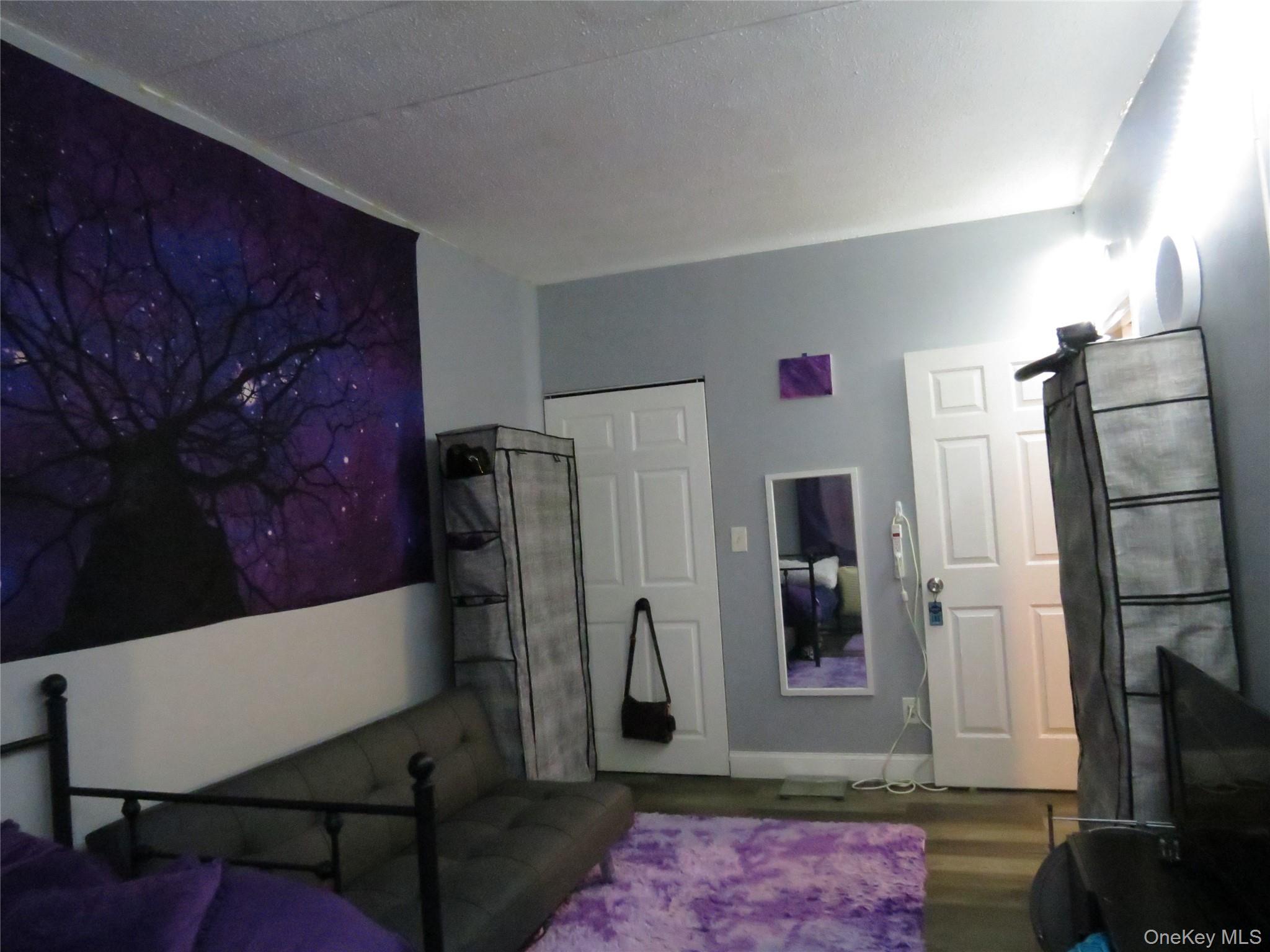 Condo 159th  Bronx, NY 10451, MLS-981297-10