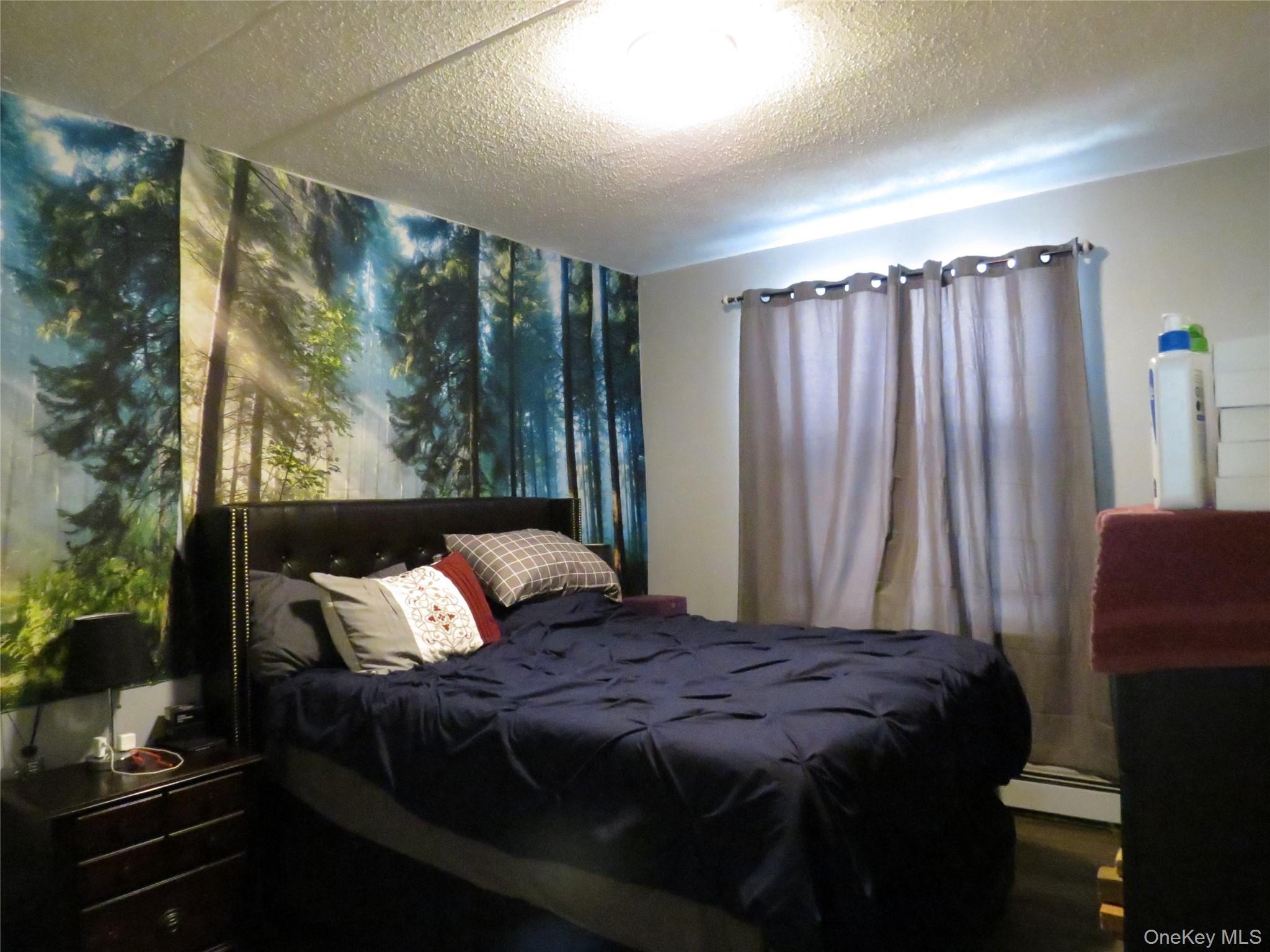 Condo 159th  Bronx, NY 10451, MLS-981297-8